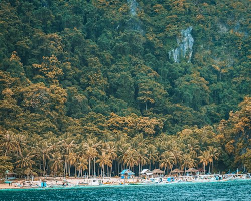 A beach with a lot of trees on the side of it — Palawan, Philippines