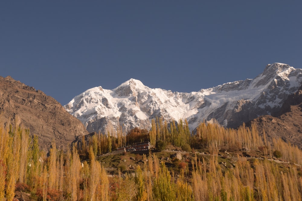 a snow covered mountain