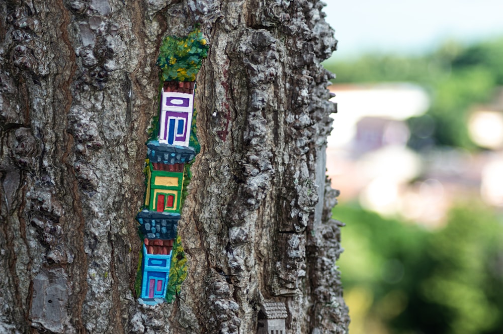 a close up of a tree with a colorful bracelet on it