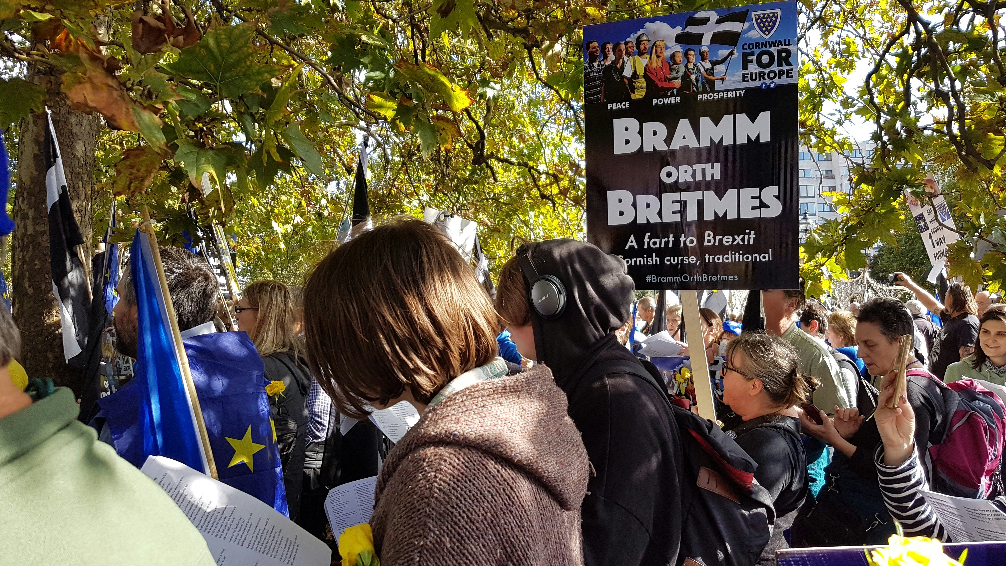 Avrupa Birliği'nden Ayrılan İlk Ülke: Bir Başlangıç Hikayesi