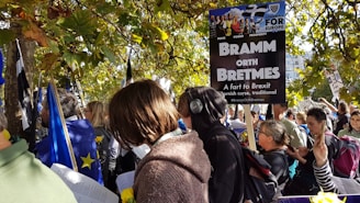 A group of people gather outdoors under a canopy of green leaves, holding various flags, including the European Union flag. Several individuals are holding signs protesting Brexit, and one prominent sign reads 'Bramm Orth Bretmes.' Many people are engaged in conversations, reading, and capturing photos on their phones.