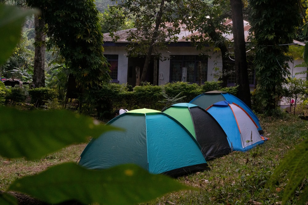 a group of tents sitting on top of a lush green field