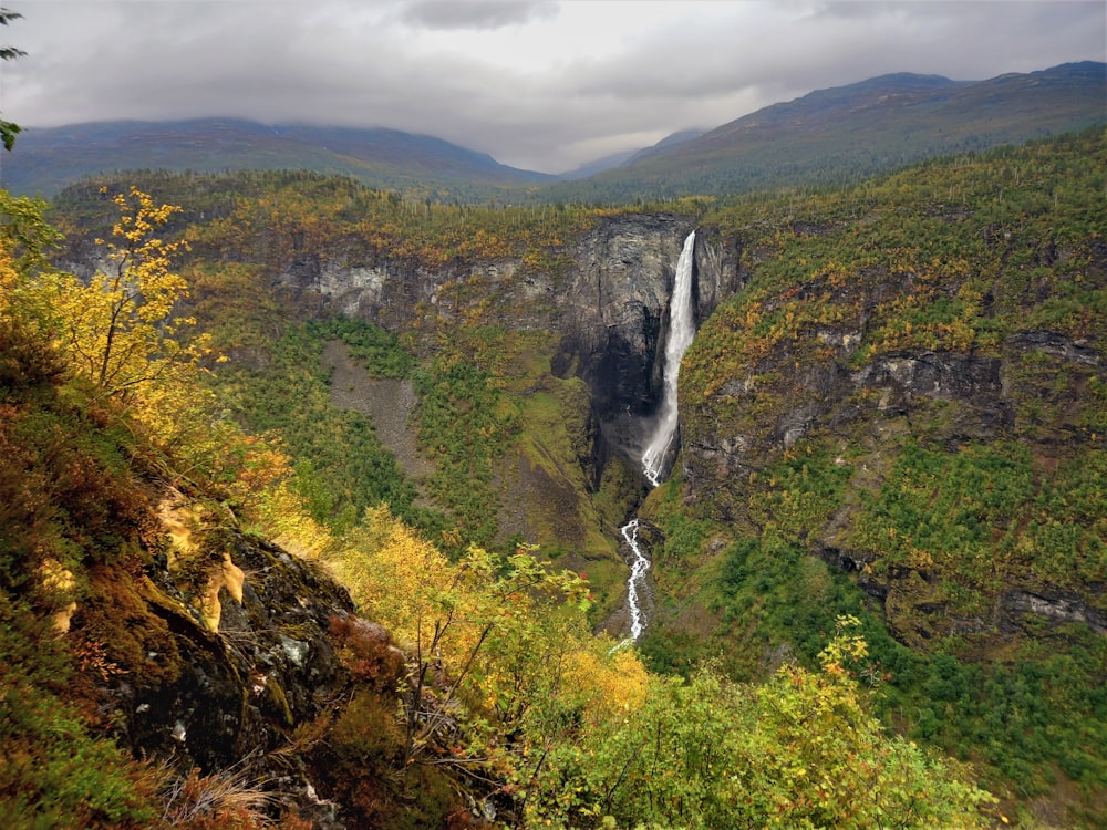 a waterfall in the middle of a lush green forest