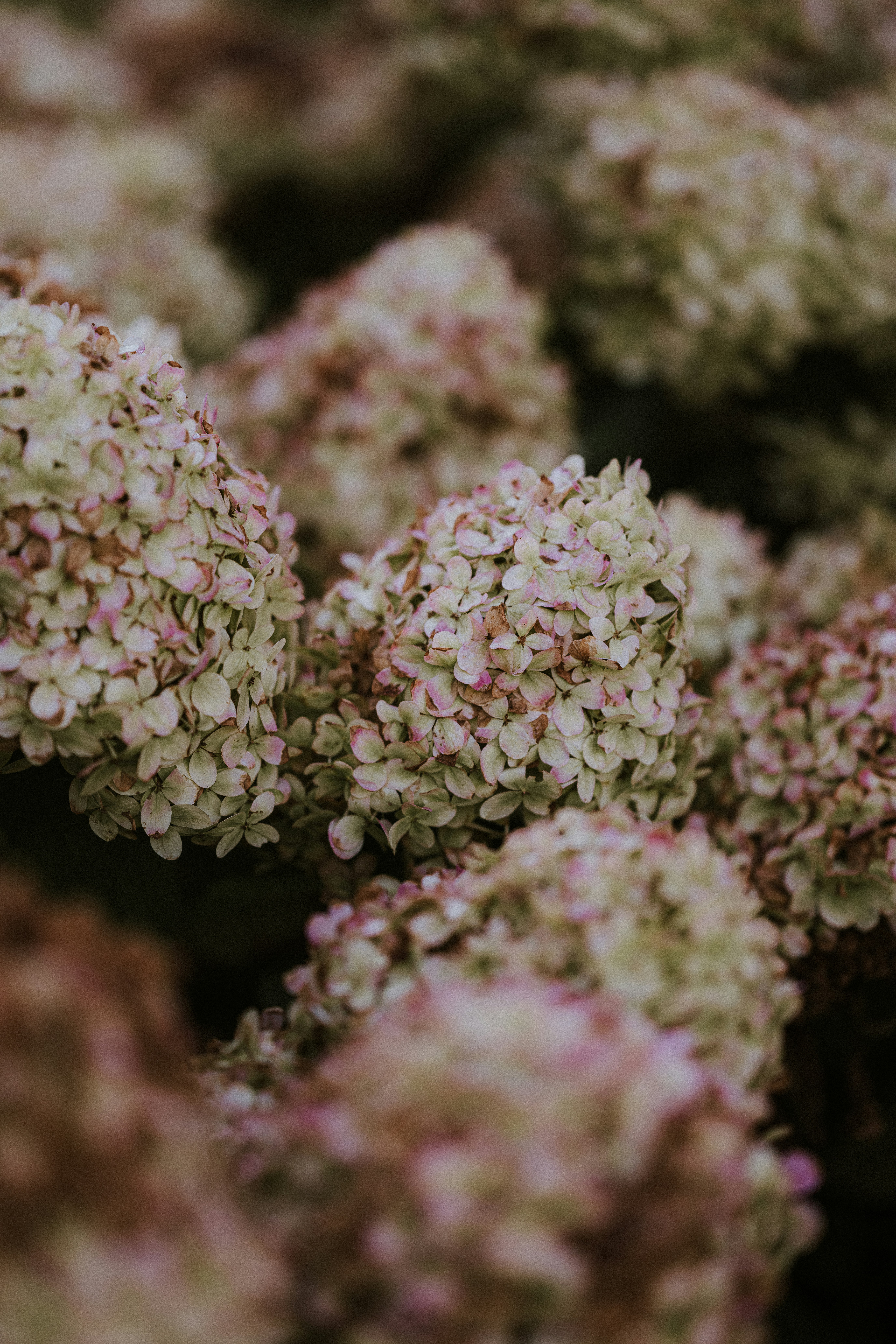 Photo by anniespratt