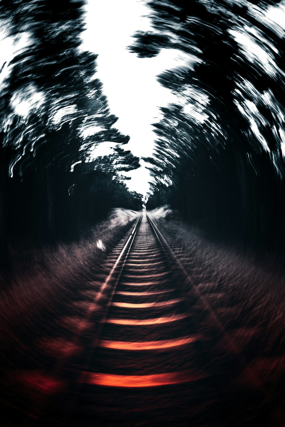 a train track going through a tunnel of trees