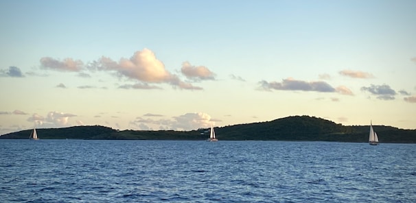 Sailboats gliding across a calm Scandinavian fjord at sunset.