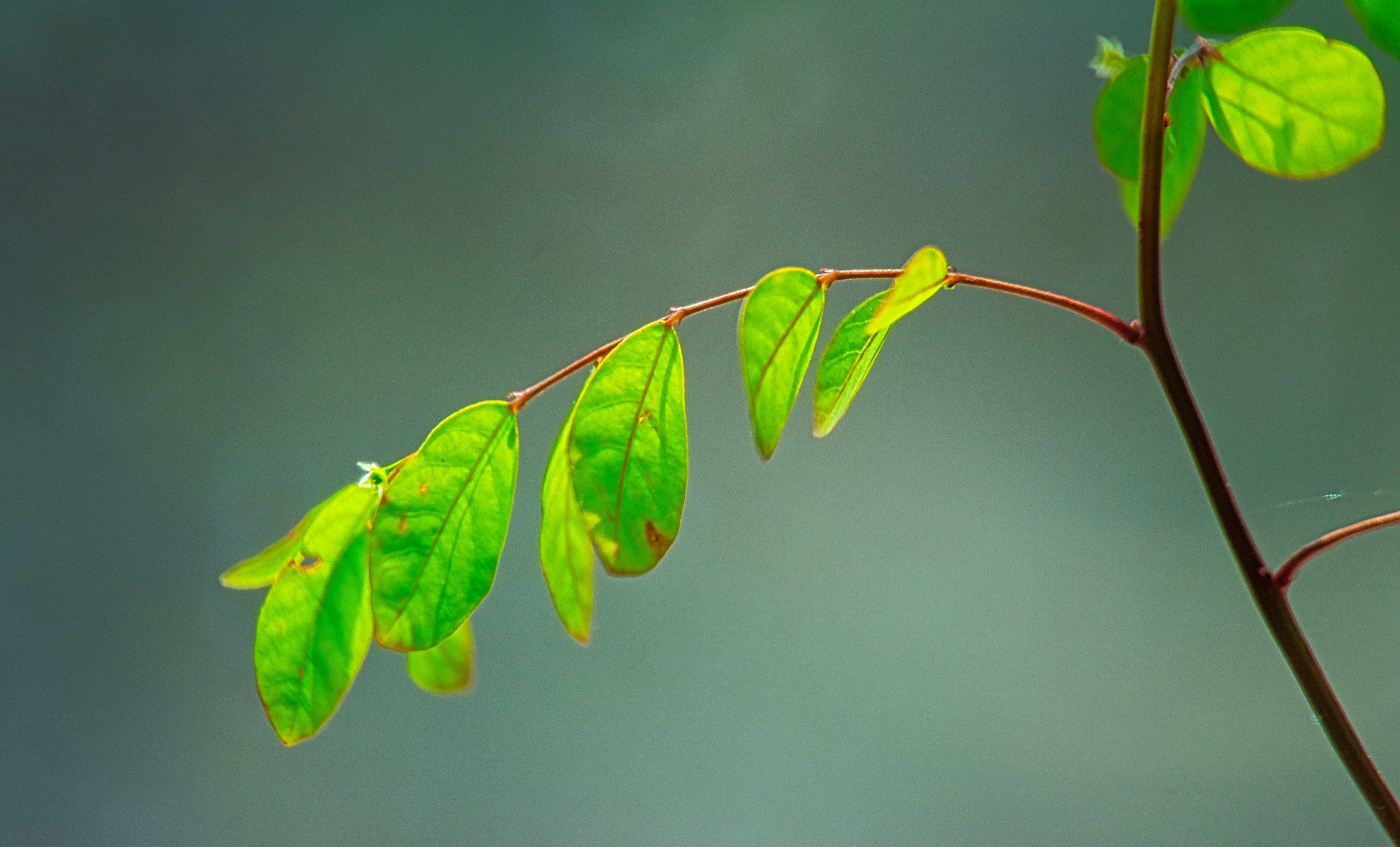 Photo by thomaskinto