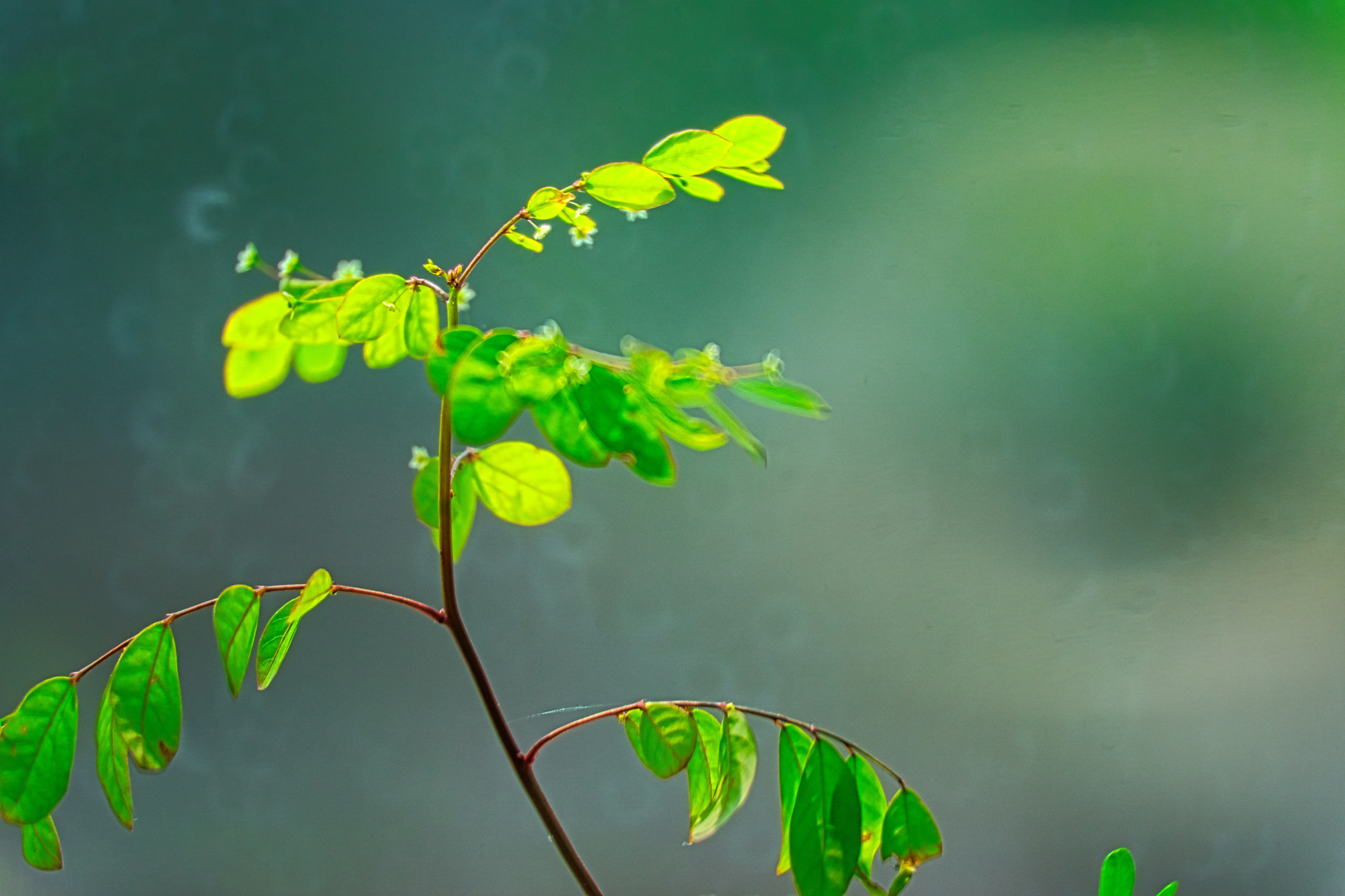 Photo by thomaskinto