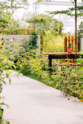 a garden filled with lots of different types of flowers