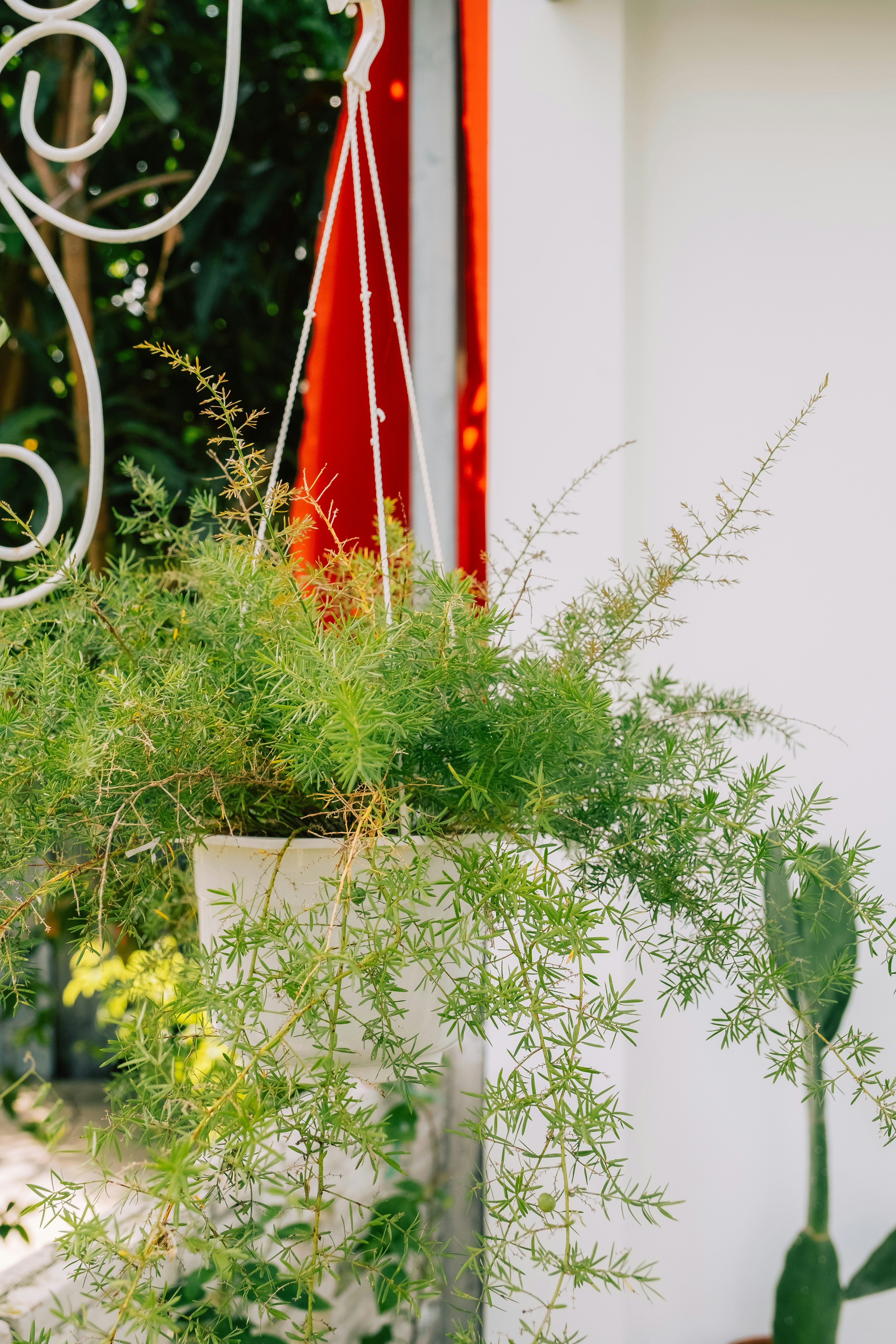 Lush Faux Fern