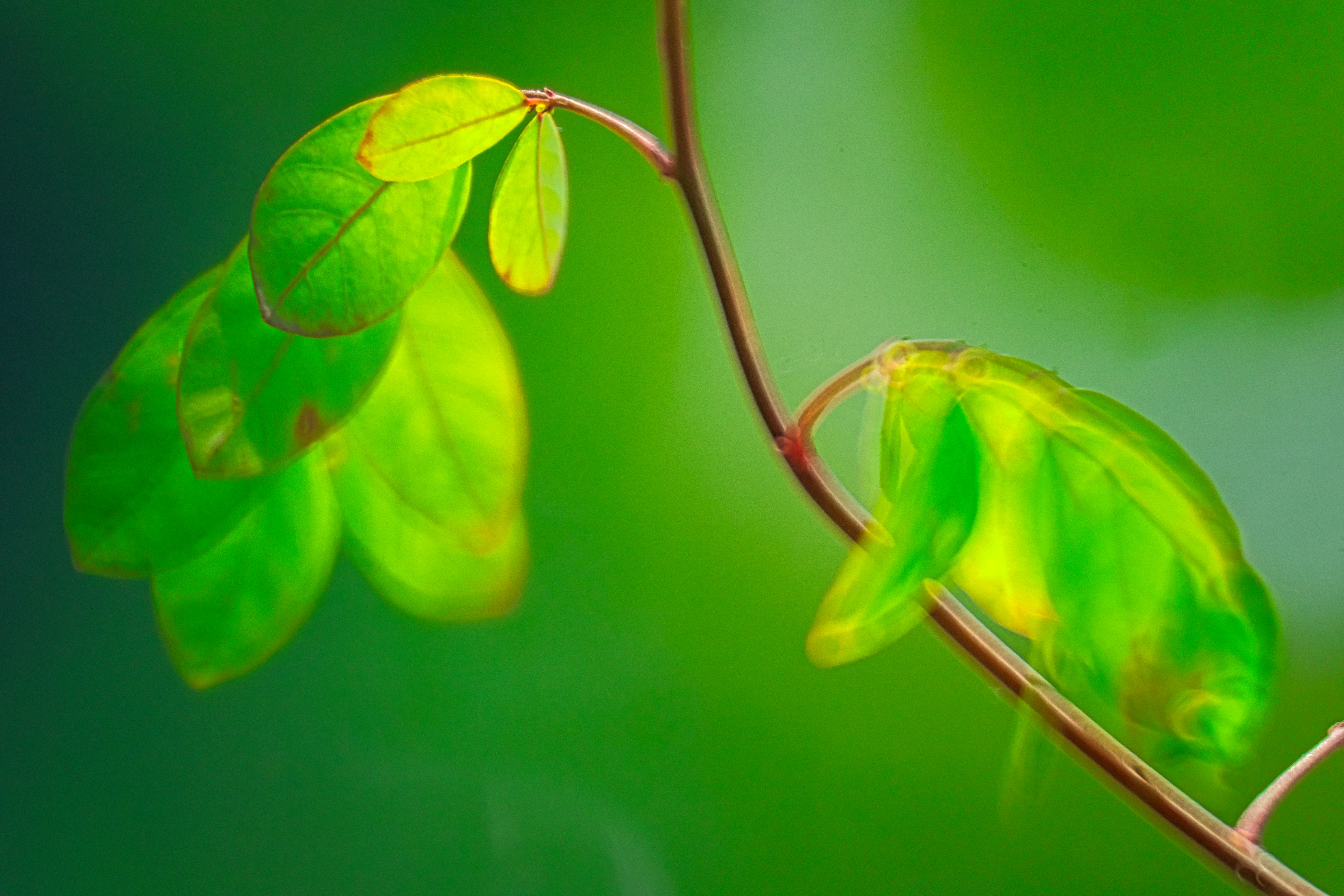 Photo by thomaskinto