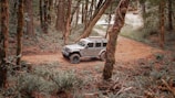 A rugged off-road vehicle is parked on a dirt path surrounded by a dense forest. Tall trees with moss-covered trunks frame the scene, and ferns and underbrush add to the lush forest floor. The vehicle appears ready for an outdoor adventure.