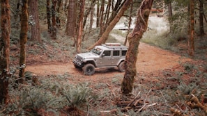 A rugged off-road vehicle is parked on a dirt path surrounded by a dense forest. Tall trees with moss-covered trunks frame the scene, and ferns and underbrush add to the lush forest floor. The vehicle appears ready for an outdoor adventure.