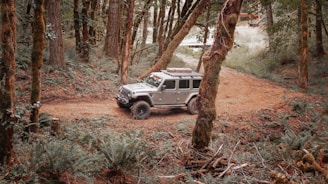 A rugged off-road vehicle is parked on a dirt path surrounded by a dense forest. Tall trees with moss-covered trunks frame the scene, and ferns and underbrush add to the lush forest floor. The vehicle appears ready for an outdoor adventure.