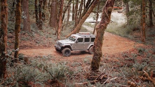 A rugged off-road vehicle is parked on a dirt path surrounded by a dense forest. Tall trees with moss-covered trunks frame the scene, and ferns and underbrush add to the lush forest floor. The vehicle appears ready for an outdoor adventure.