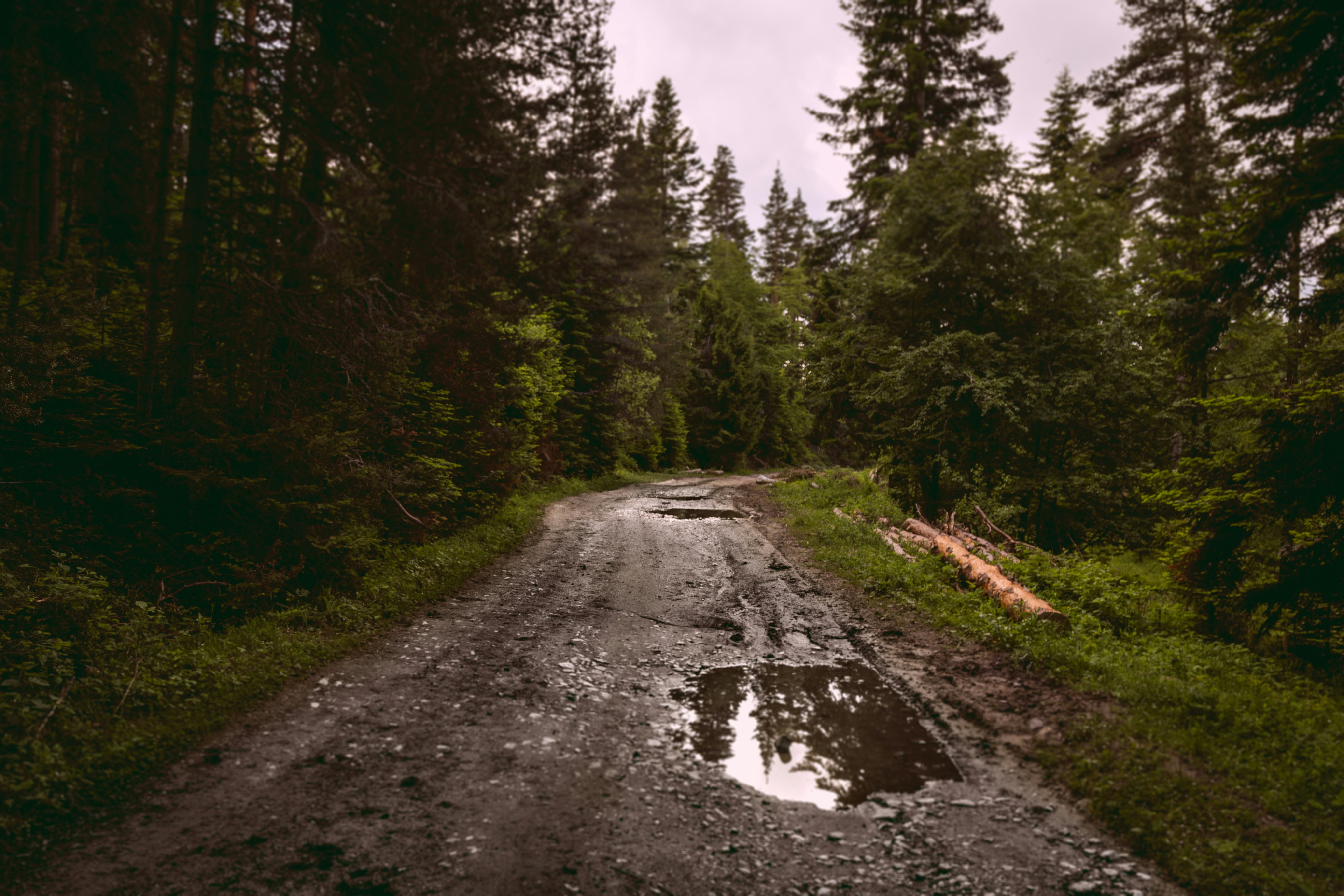 Photo by blooddrainer