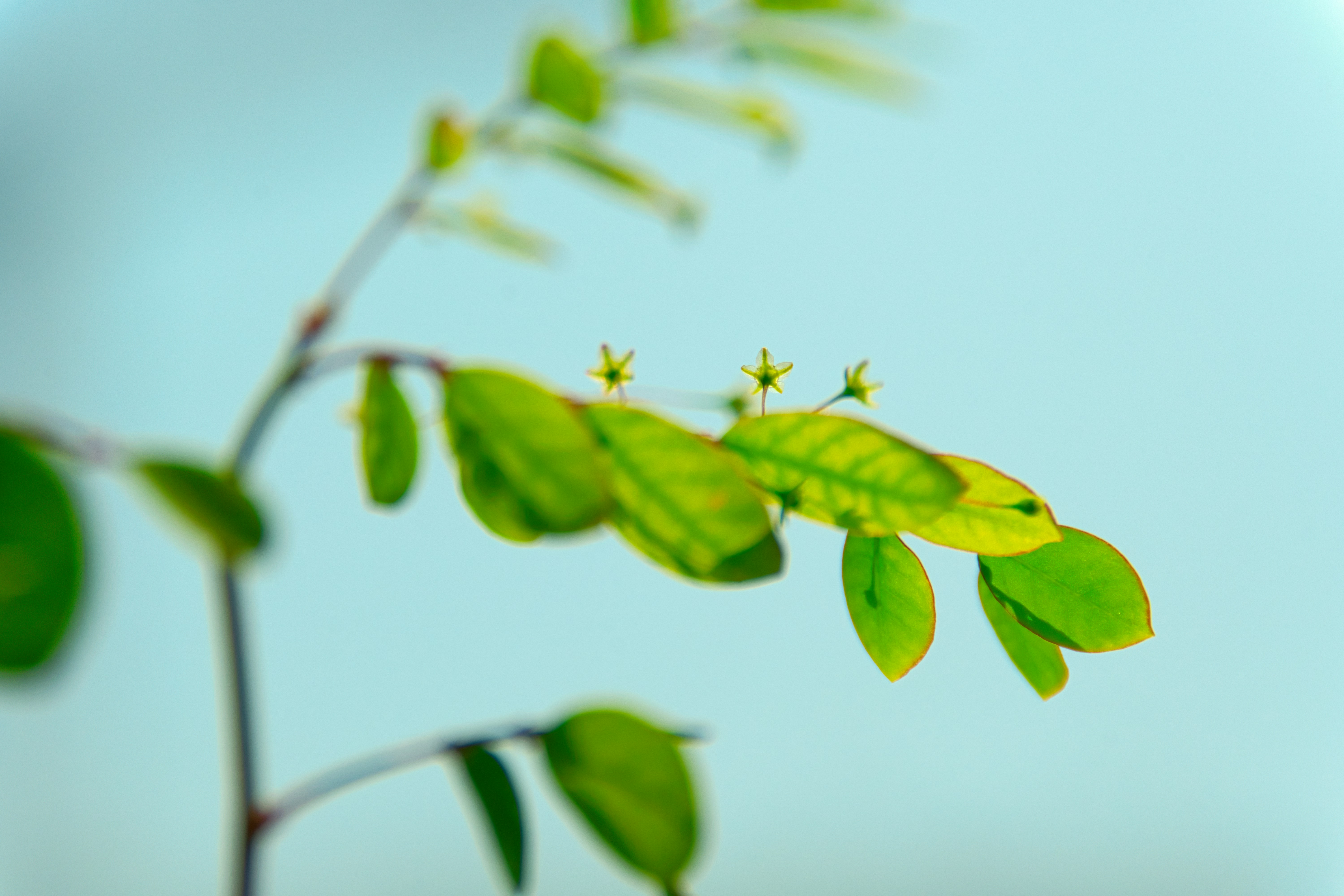 Photo by thomaskinto