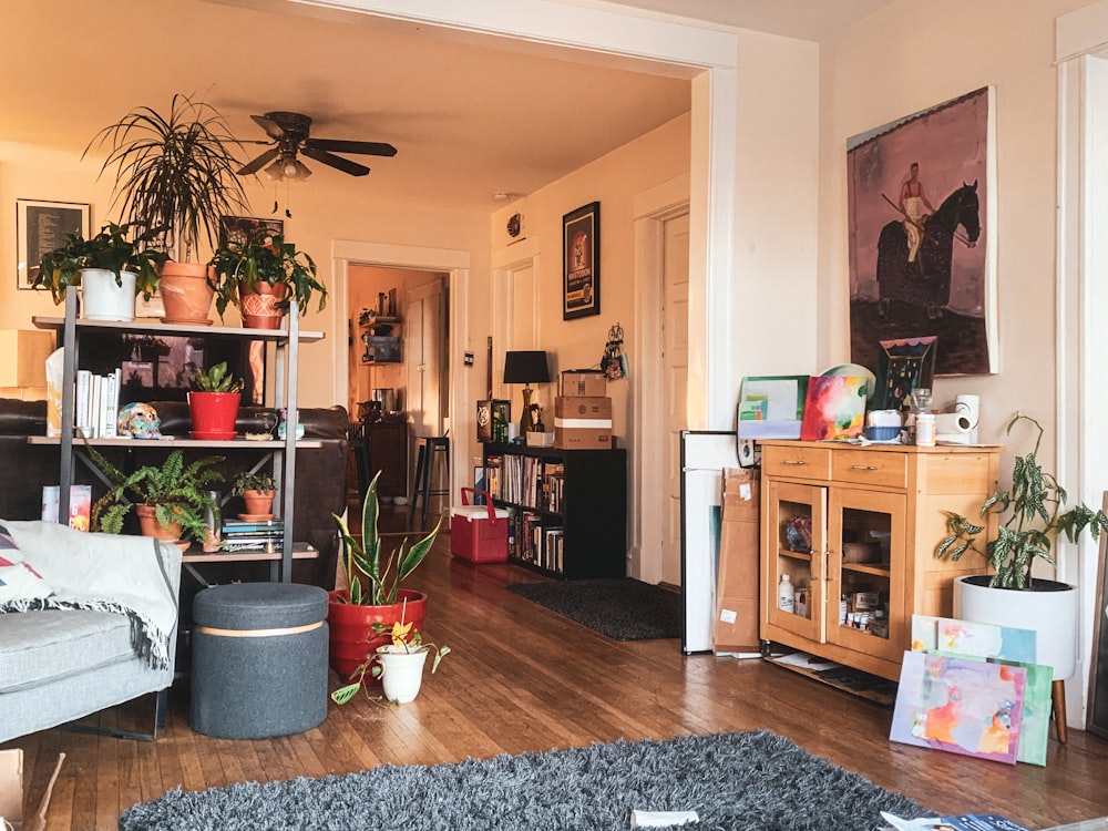 a living room filled with furniture and lots of plants