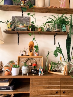 A cozy indoor setting featuring two wooden shelves on a wall decorated with a variety of potted plants. The lower shelf holds a vintage radio, a collection of small plant pots with various succulents and cacti, and decorative items such as a carved wooden mask and an old glass bottle. Books are stacked on the left side of a wooden cabinet below the shelves.