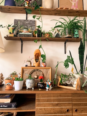 A cozy indoor setting featuring two wooden shelves on a wall decorated with a variety of potted plants. The lower shelf holds a vintage radio, a collection of small plant pots with various succulents and cacti, and decorative items such as a carved wooden mask and an old glass bottle. Books are stacked on the left side of a wooden cabinet below the shelves.