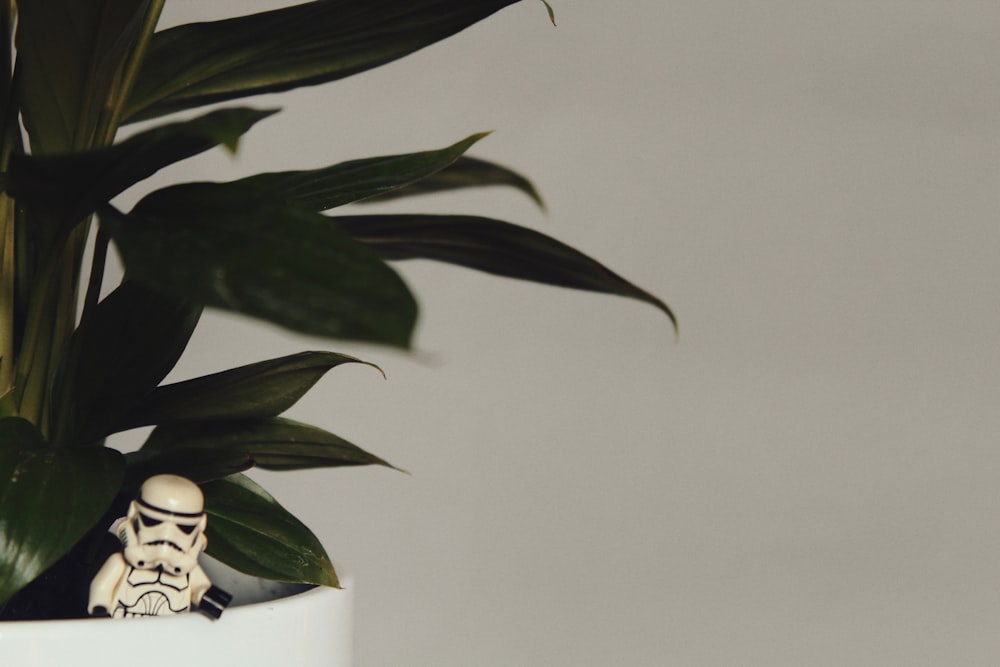 a plant with a star wars figurine in it