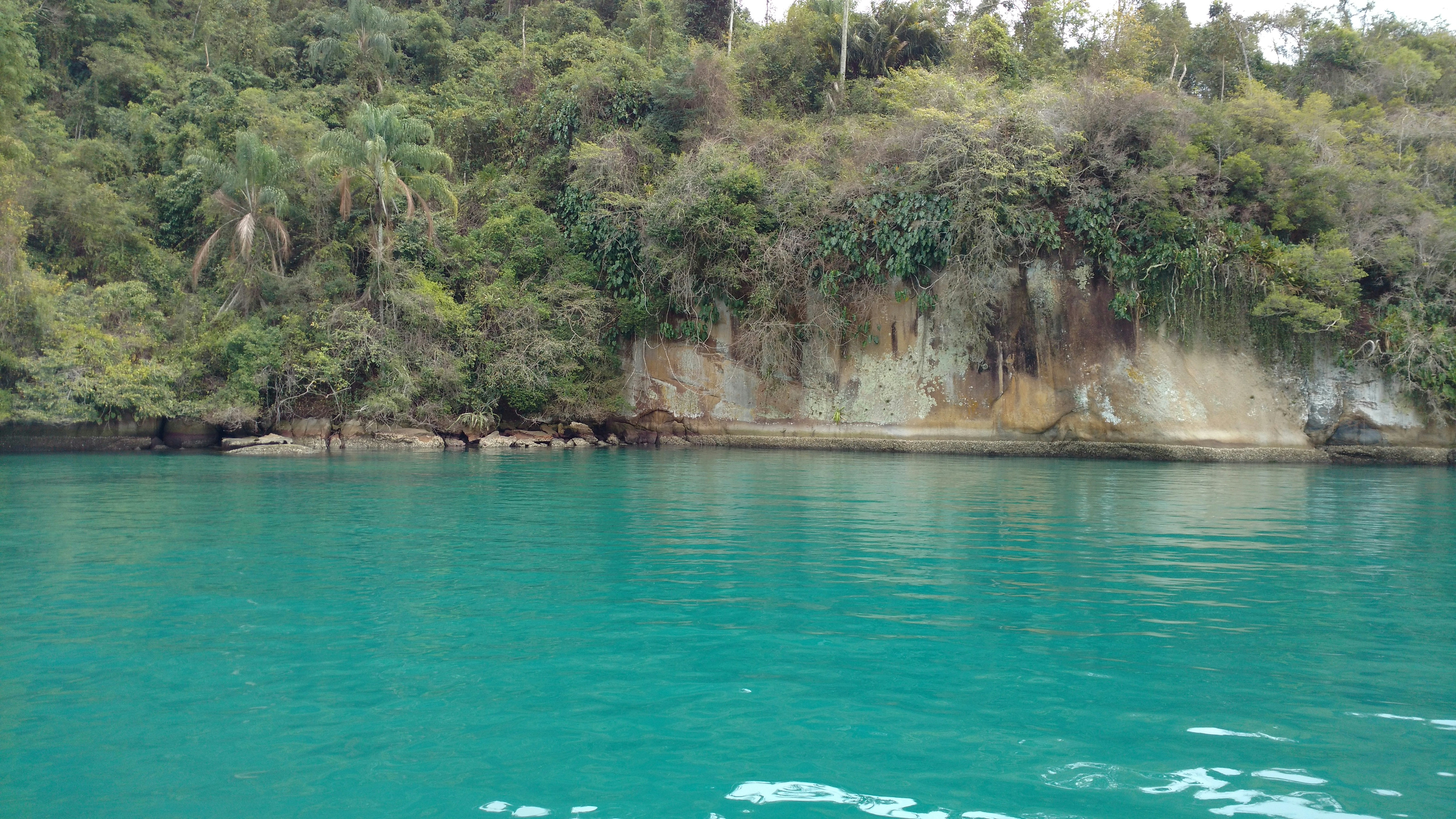 Photo by israelsilvadesouza