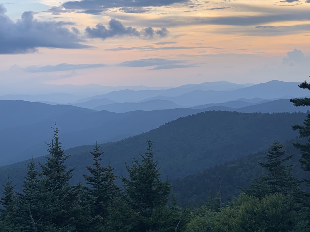 a view of a mountain range with trees in the foreground