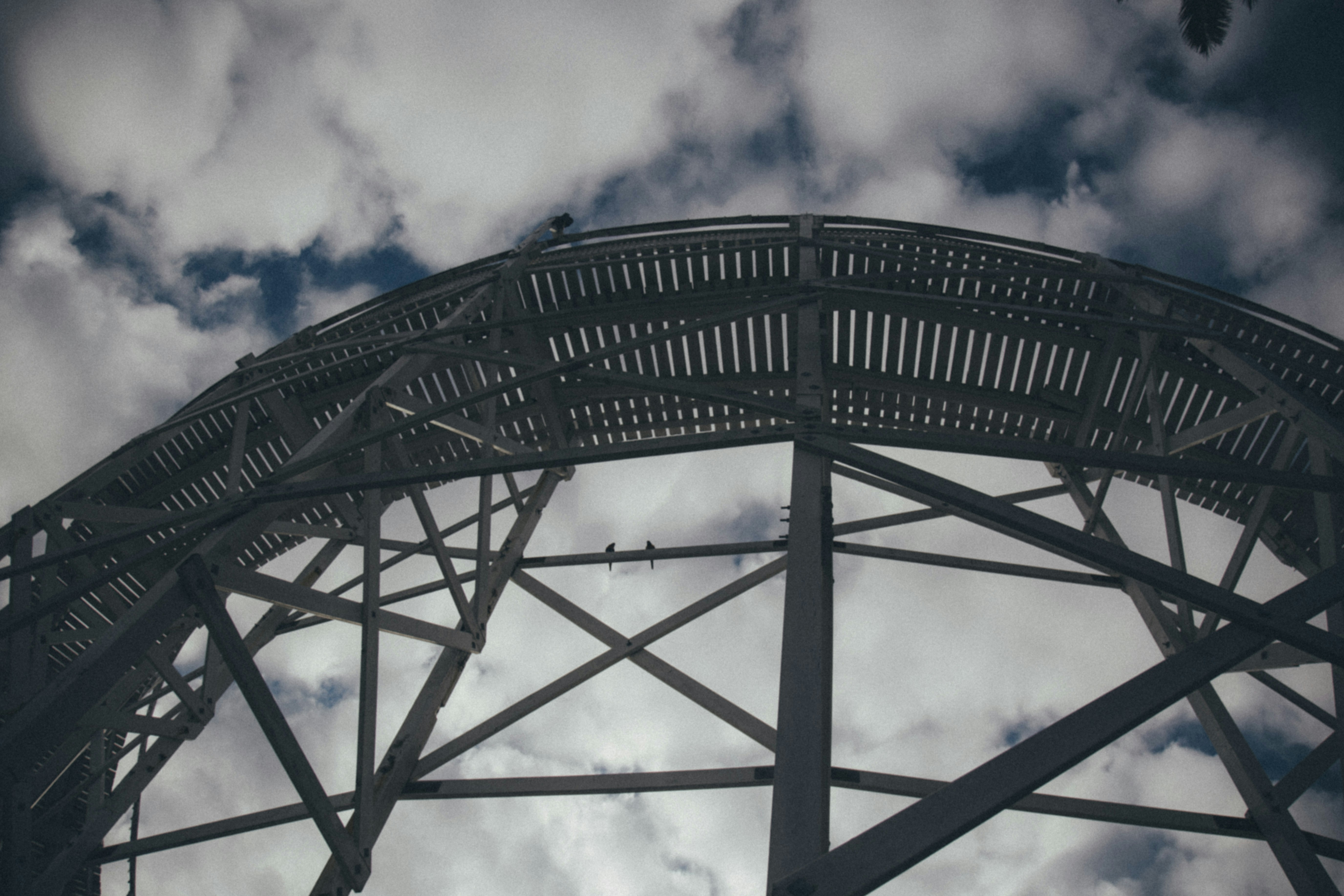 Photo by i_am_simoesse