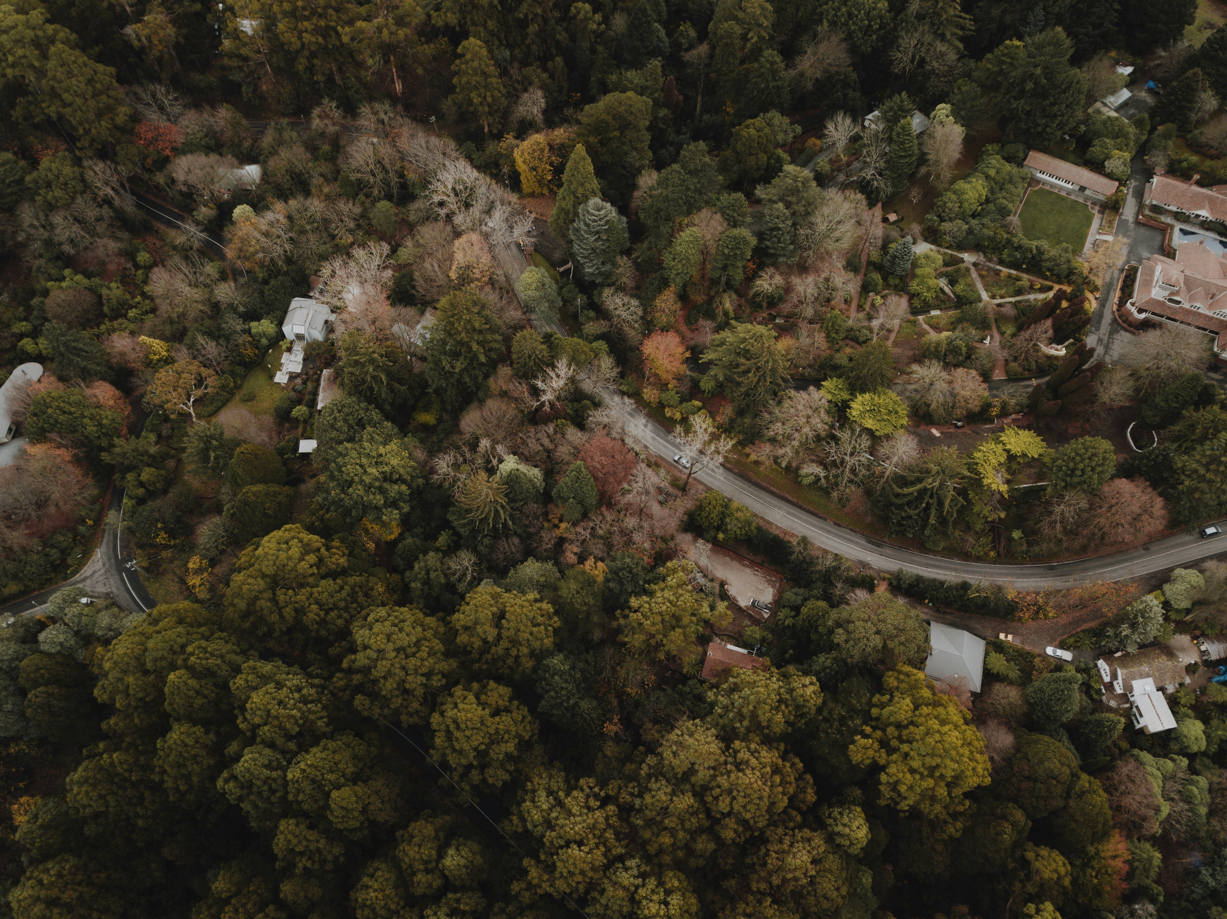 Photo by i_am_simoesse