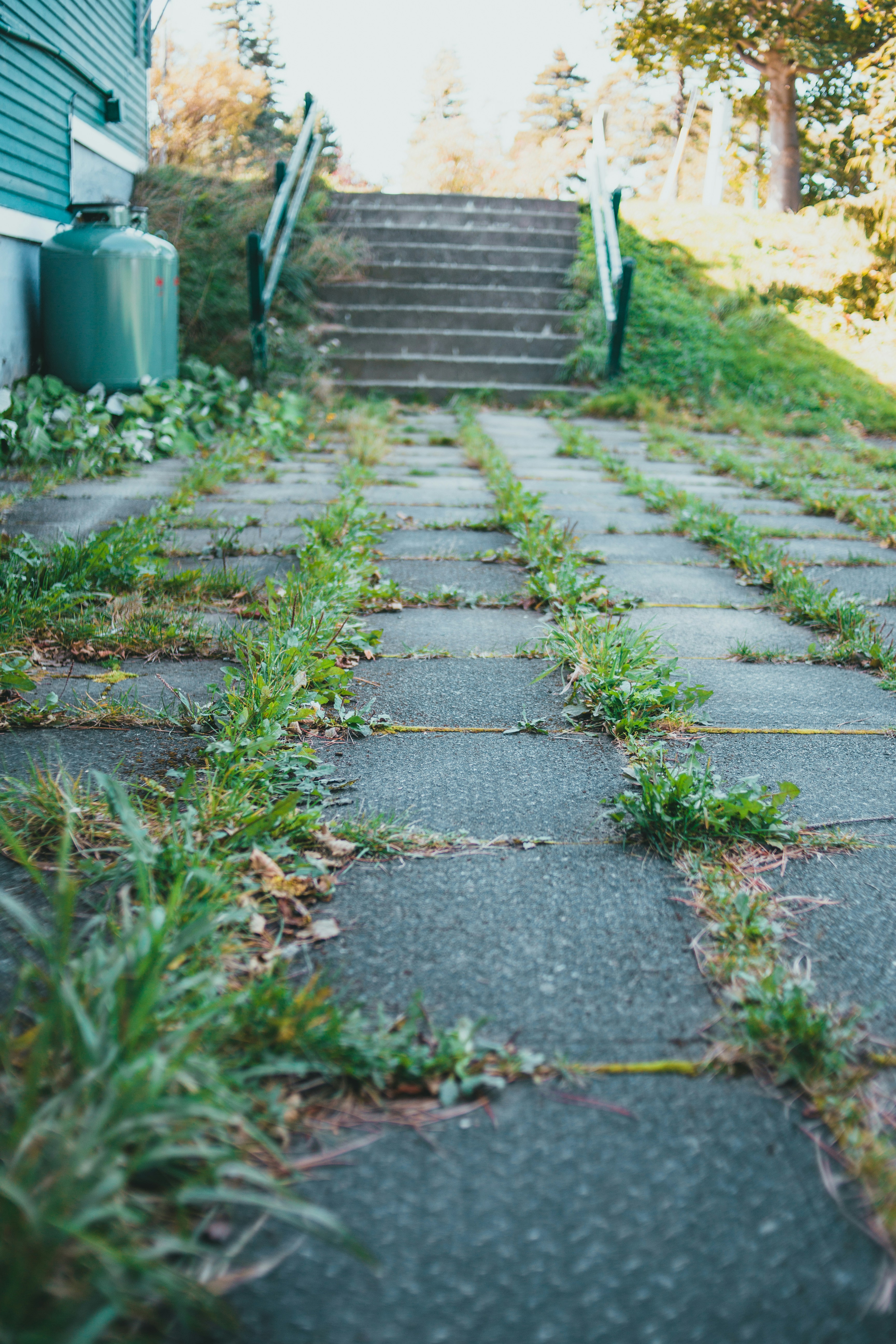 Photo by introspectivedsgn