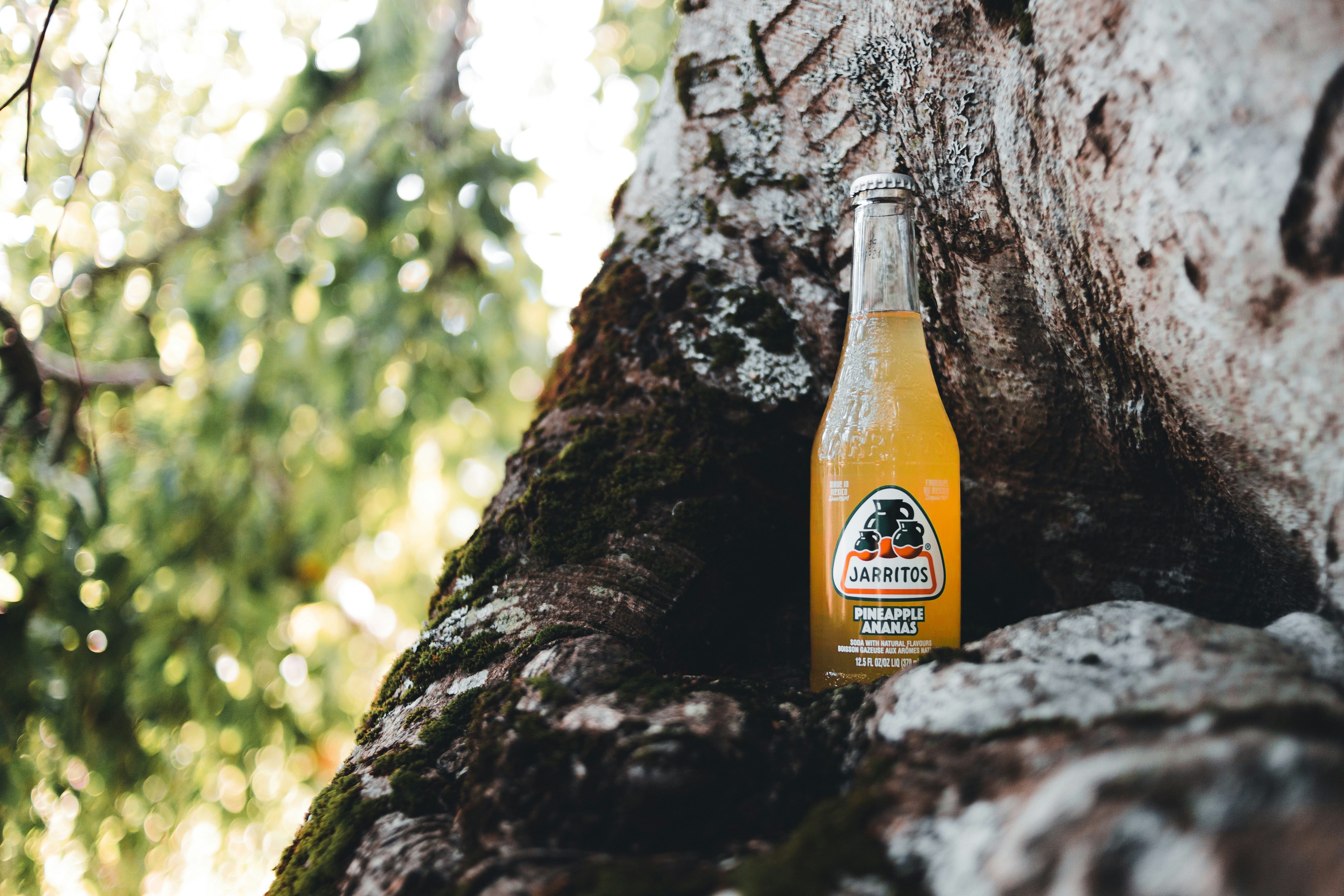 Photo by introspectivedsgn