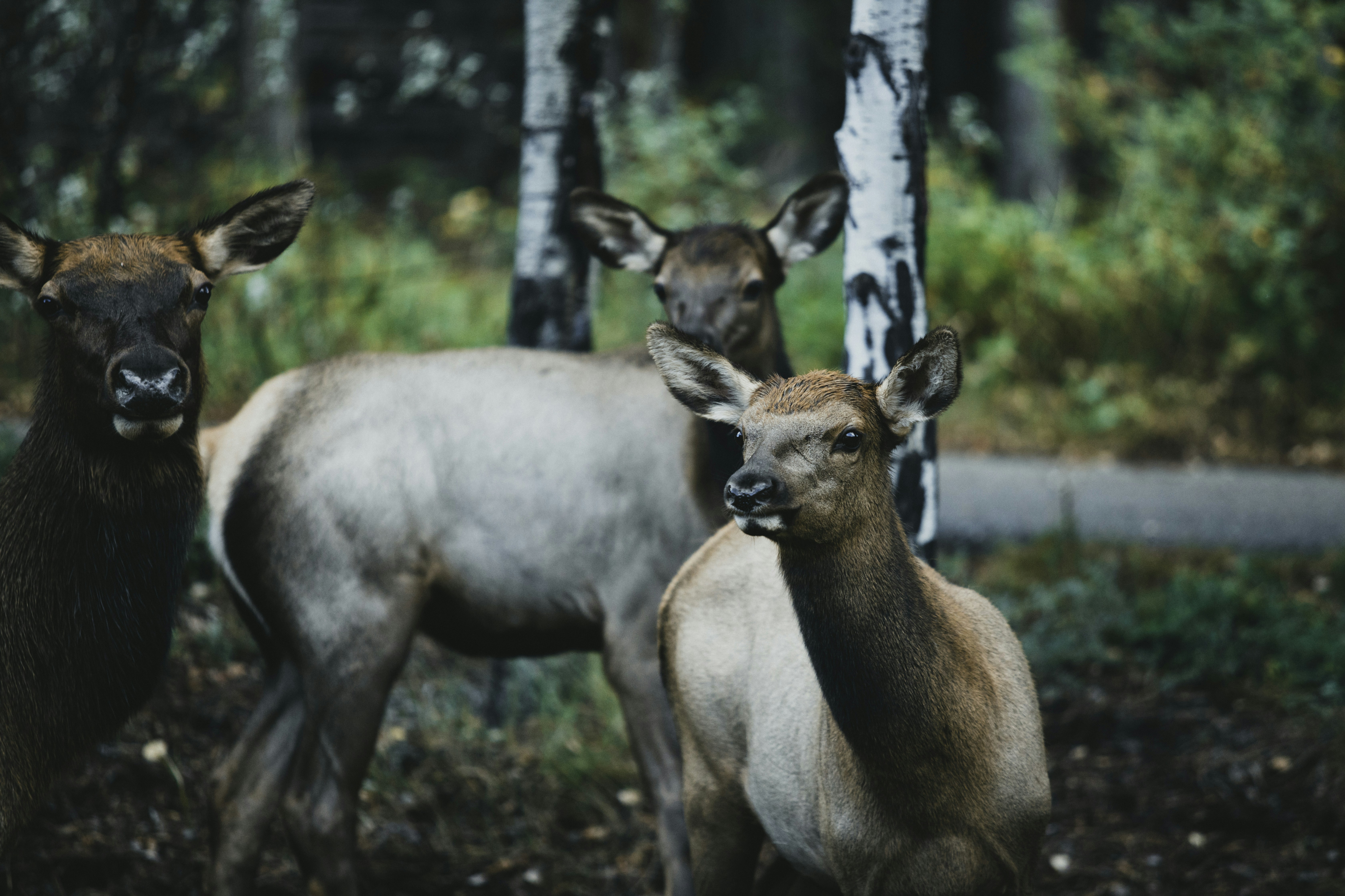 Photo by theshuttervision