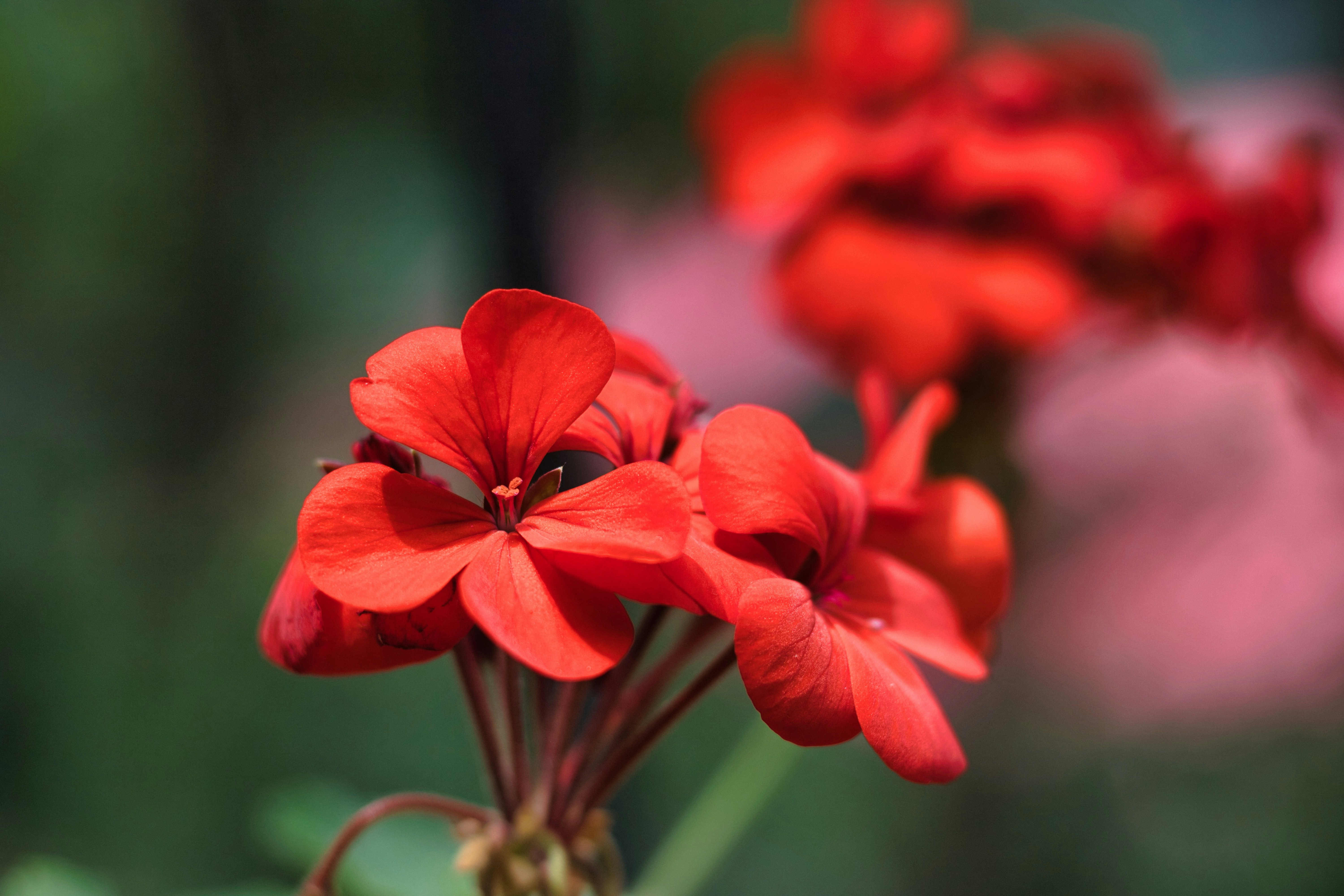 Photo by parihar_saab