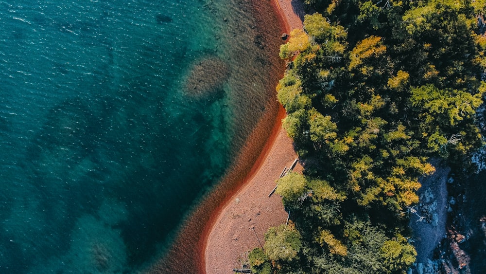 an aerial view of a beach and trees