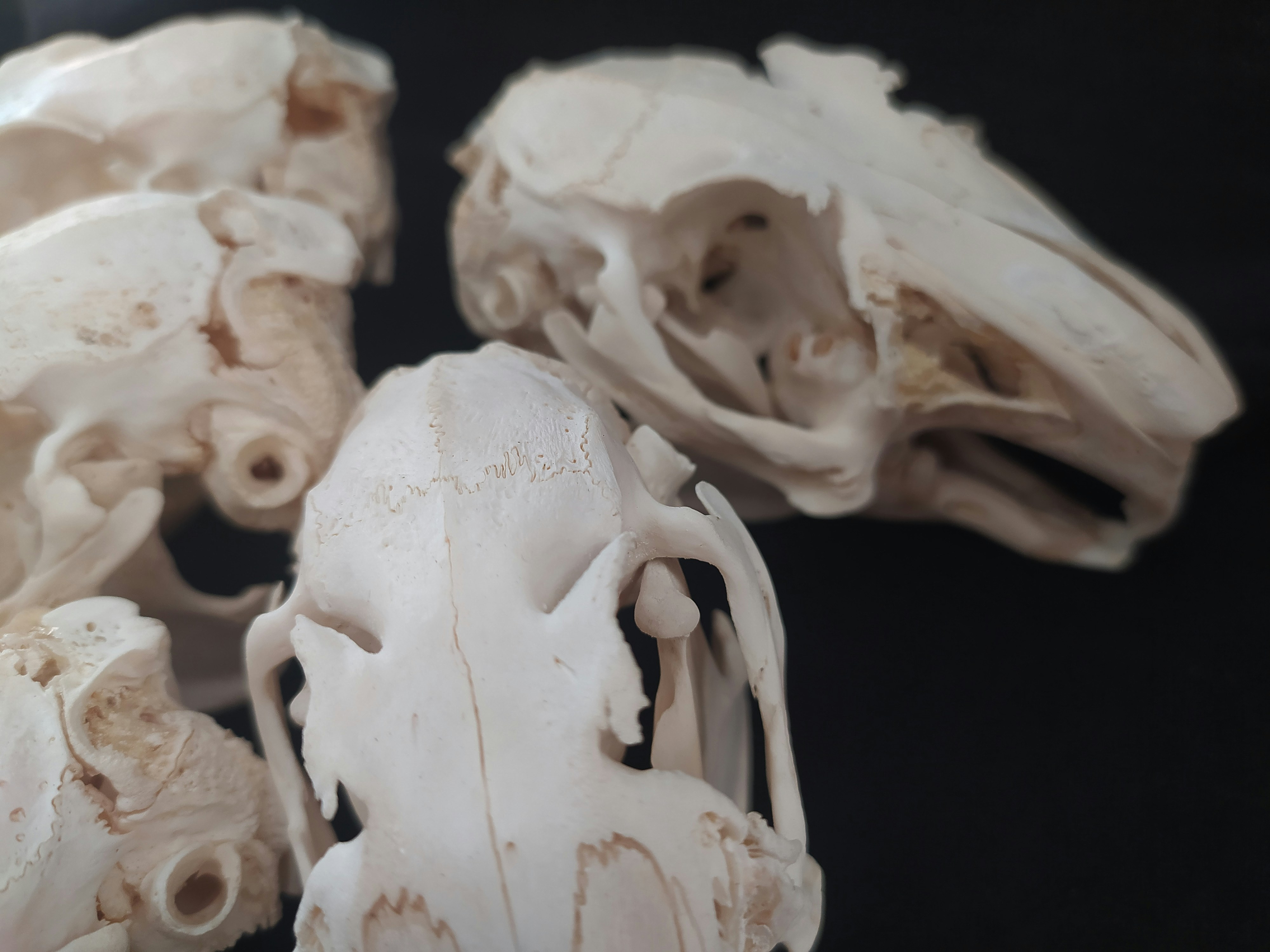 Photo by billybobbloodyhands