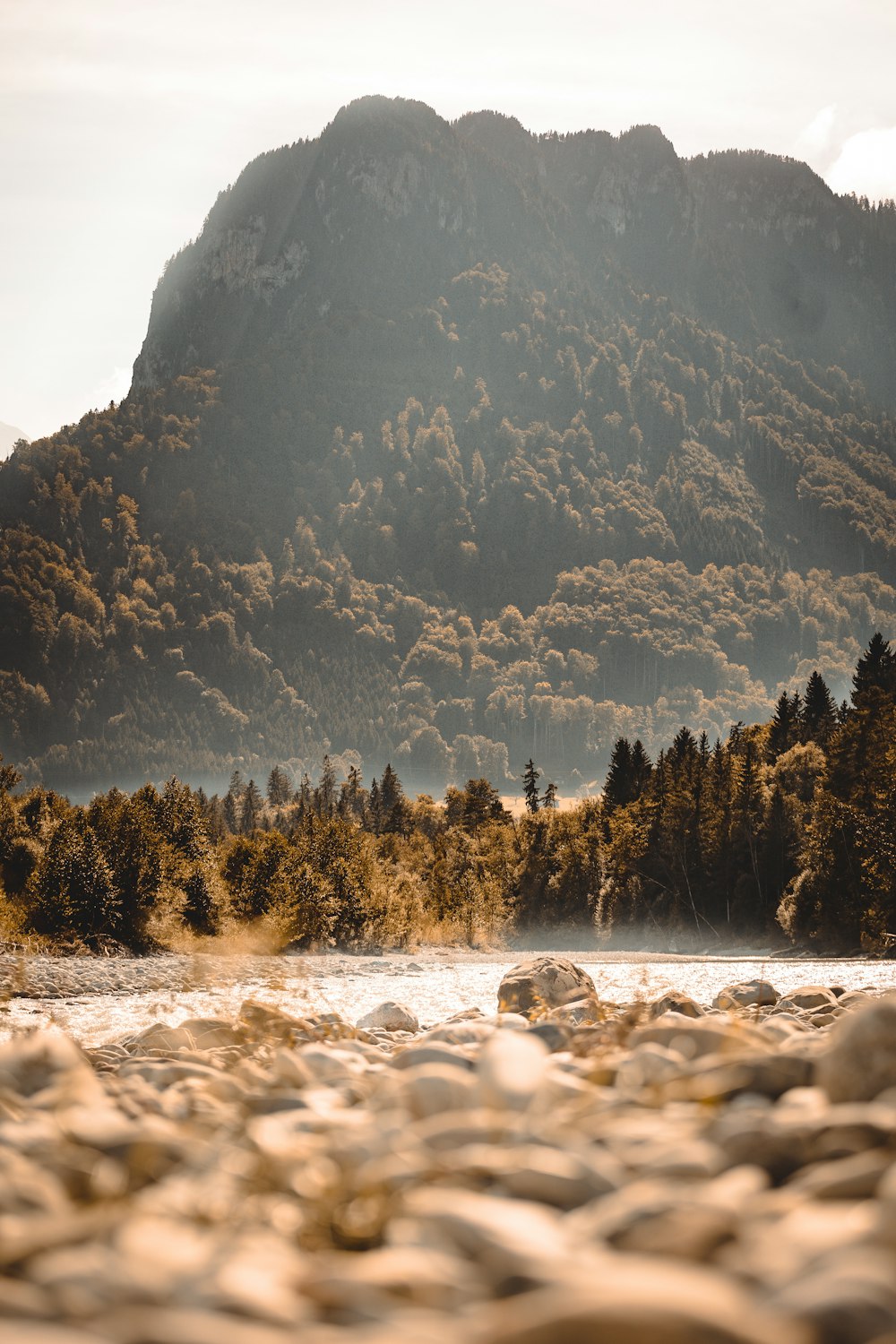 a flock of birds standing on top of a mountain