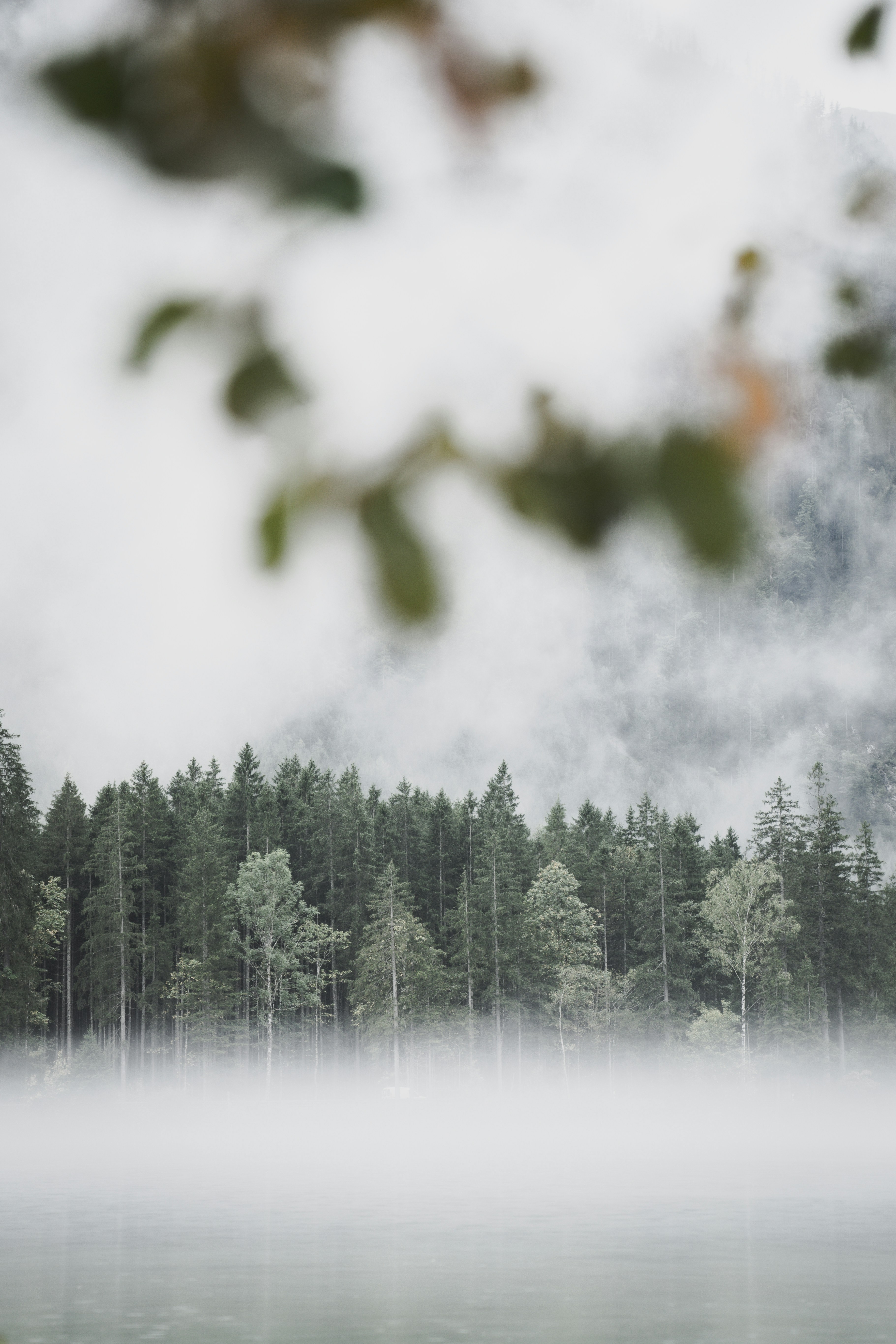 Photo by theverticalstory