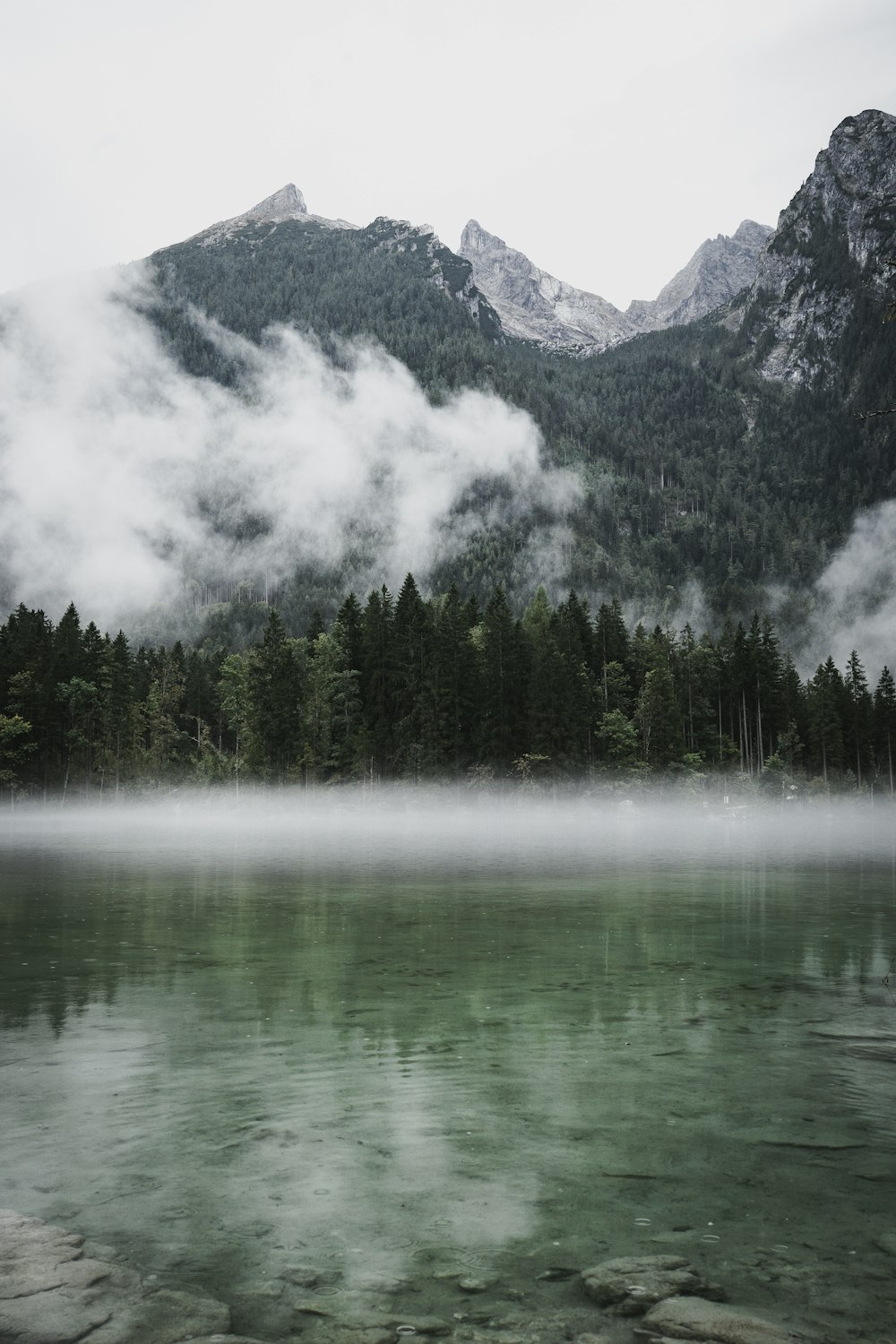 a body of water surrounded by mountains and trees