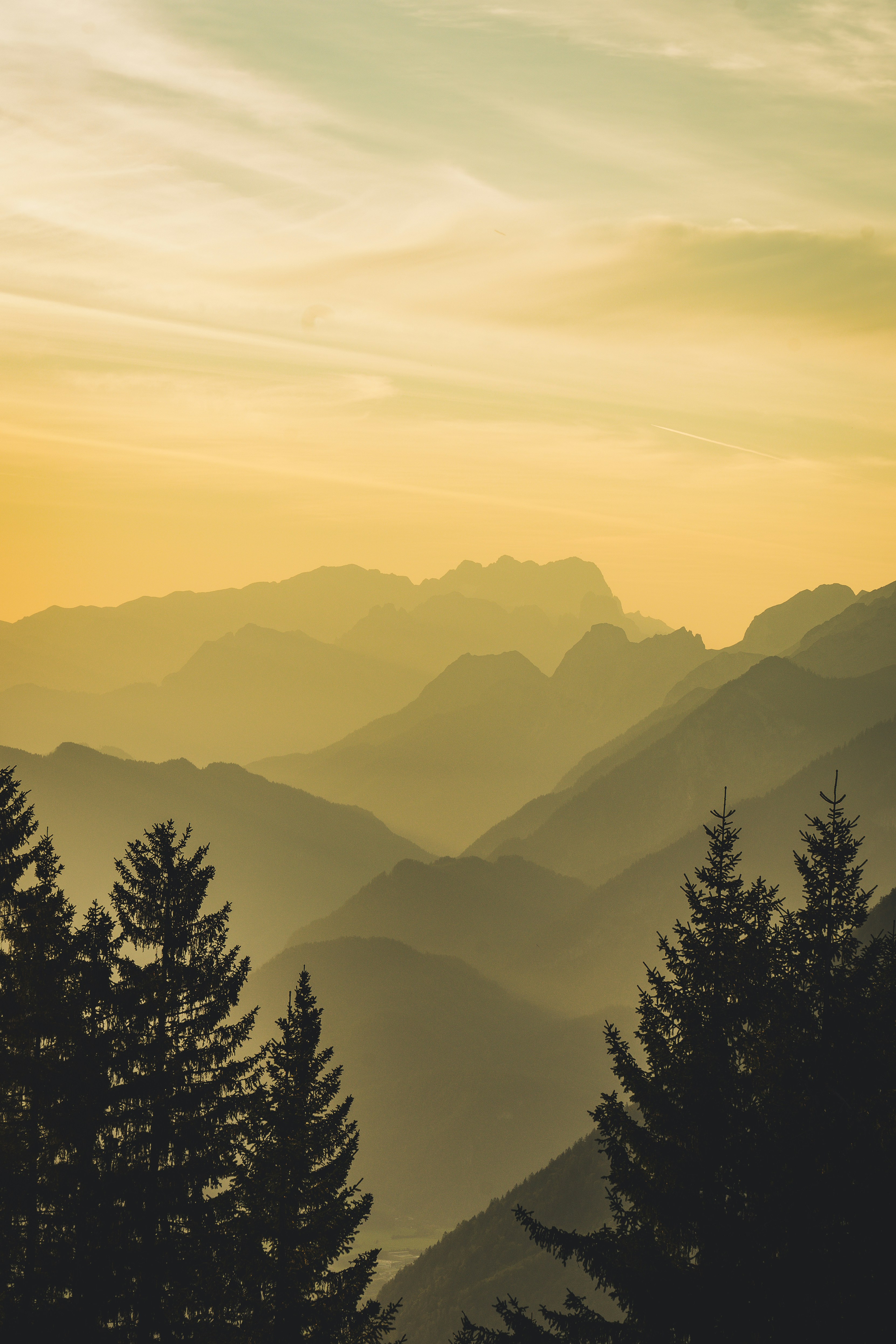 Photo by theverticalstory