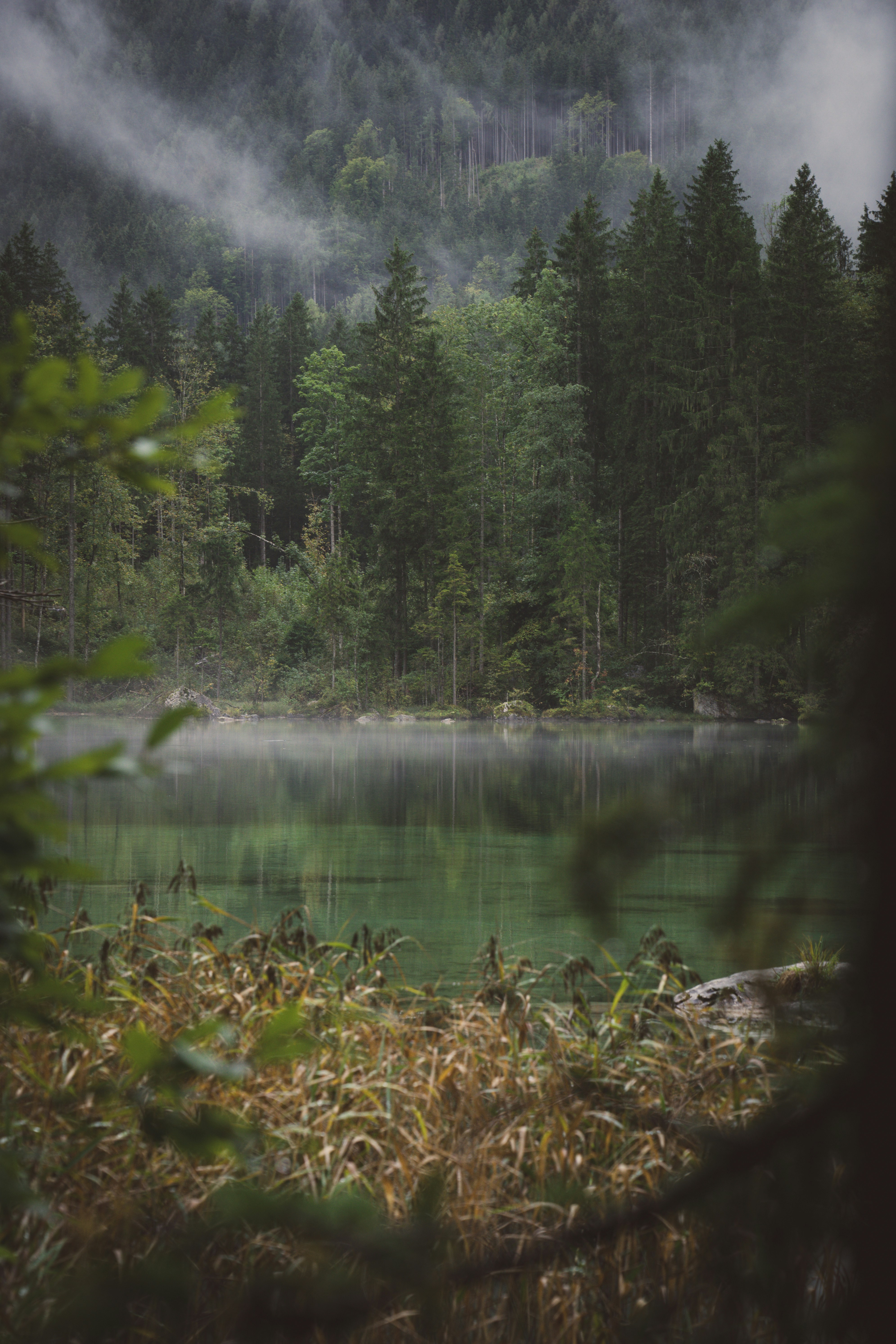 Photo by theverticalstory