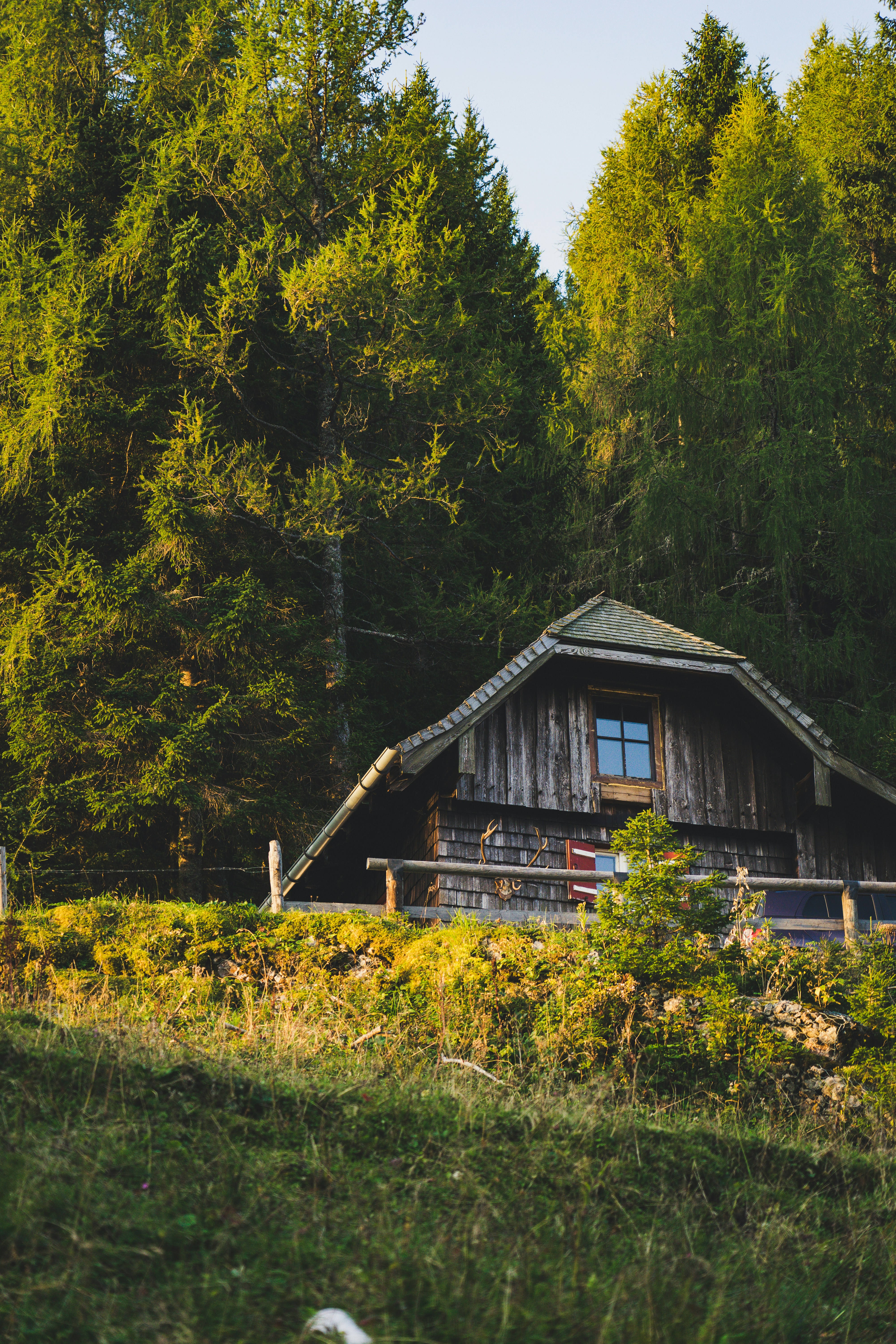 Photo by theverticalstory