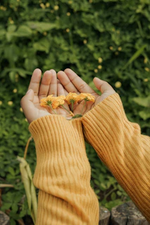 a person holding a flower in their hands