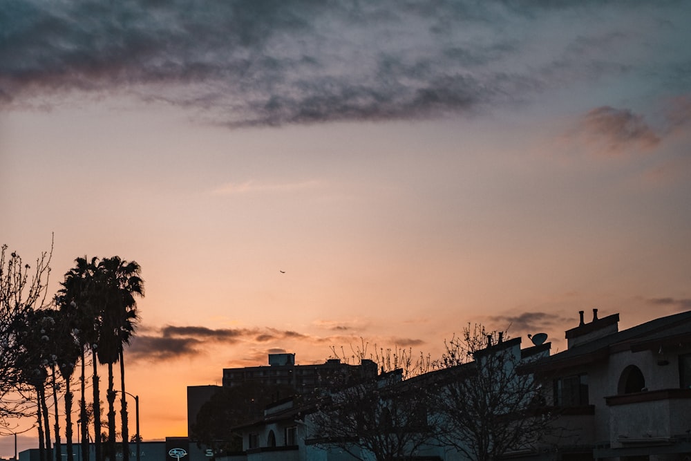 the sun is setting over a city with palm trees