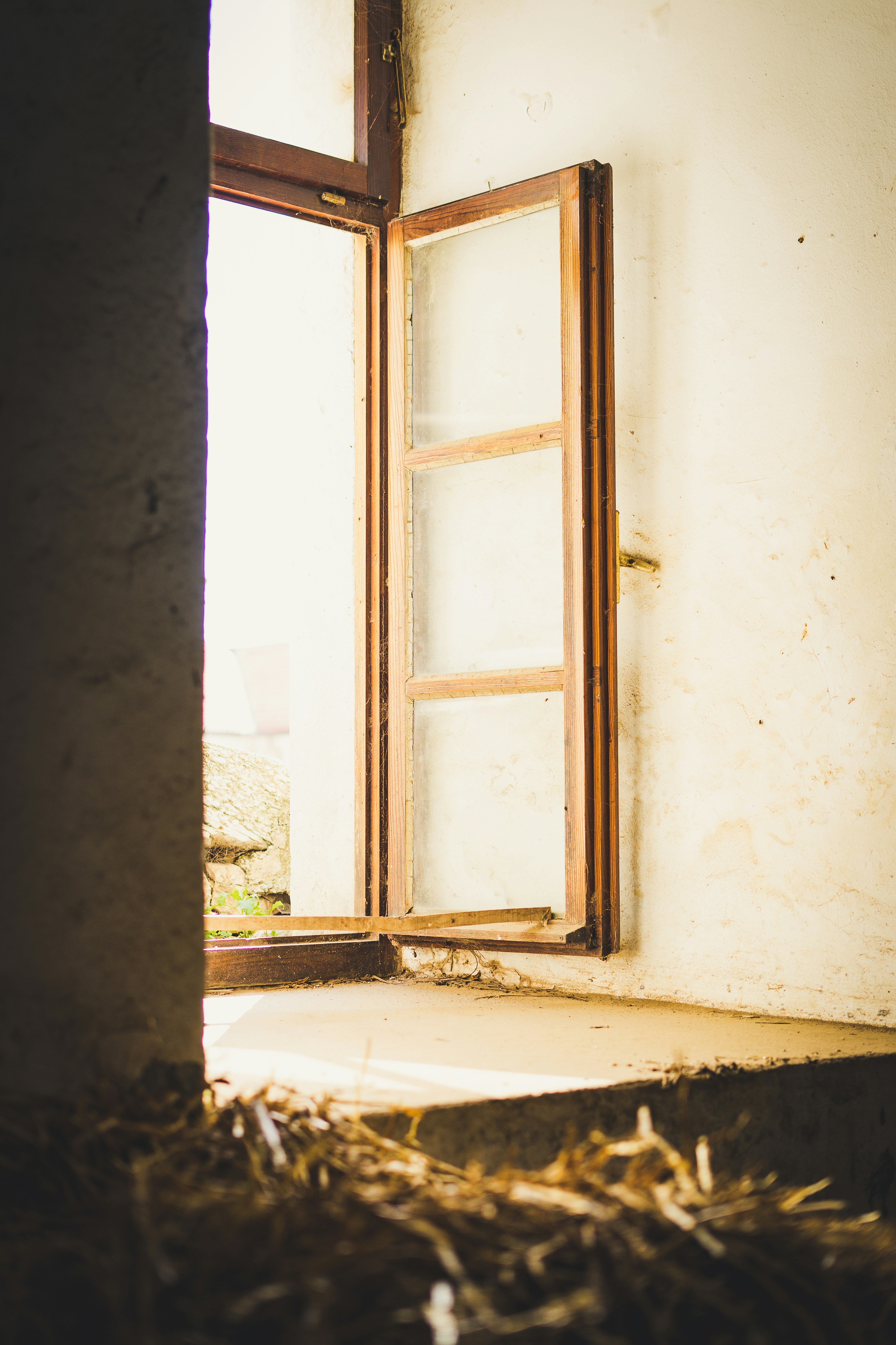 Photo by theverticalstory