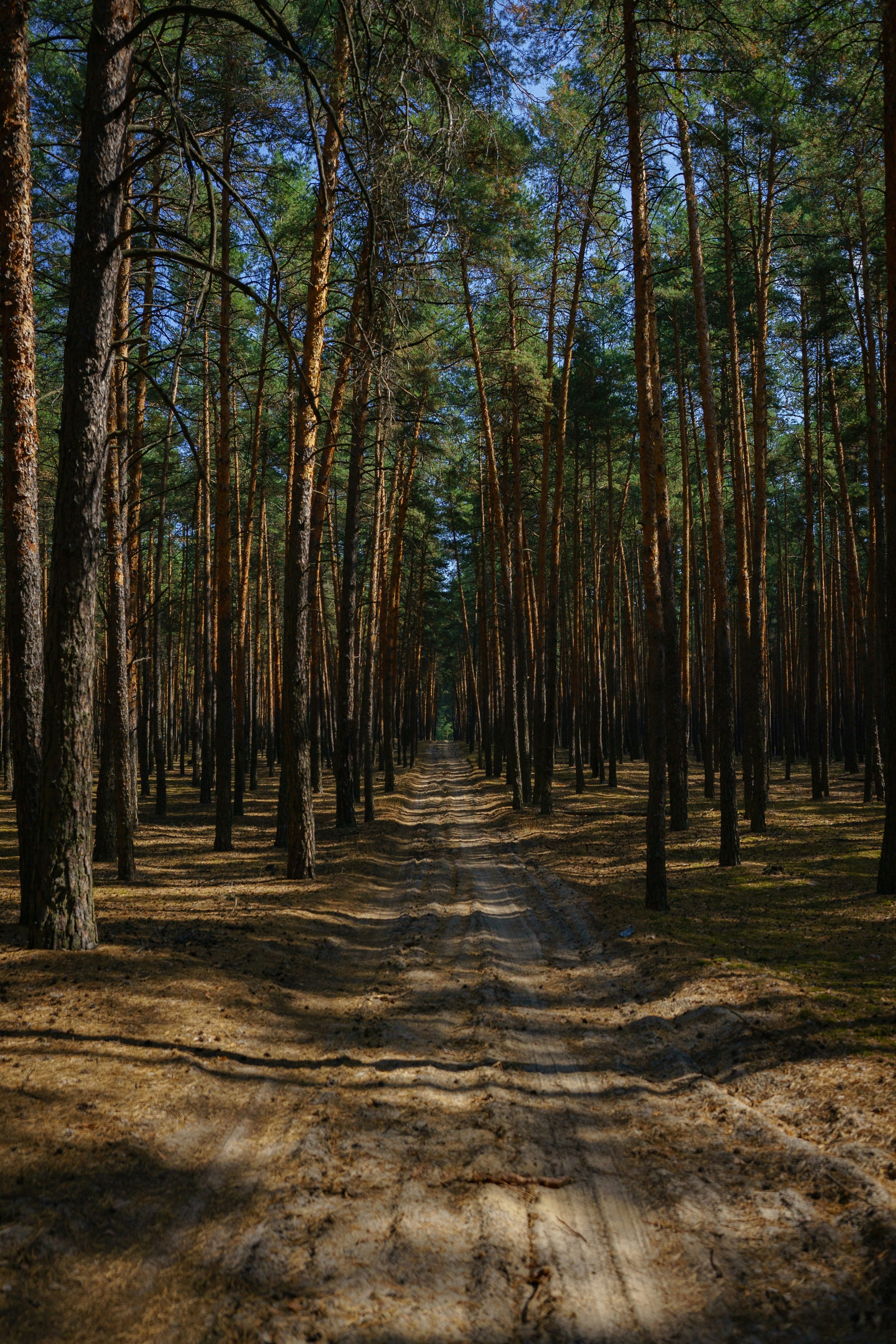 Photo by eugenechystiakov