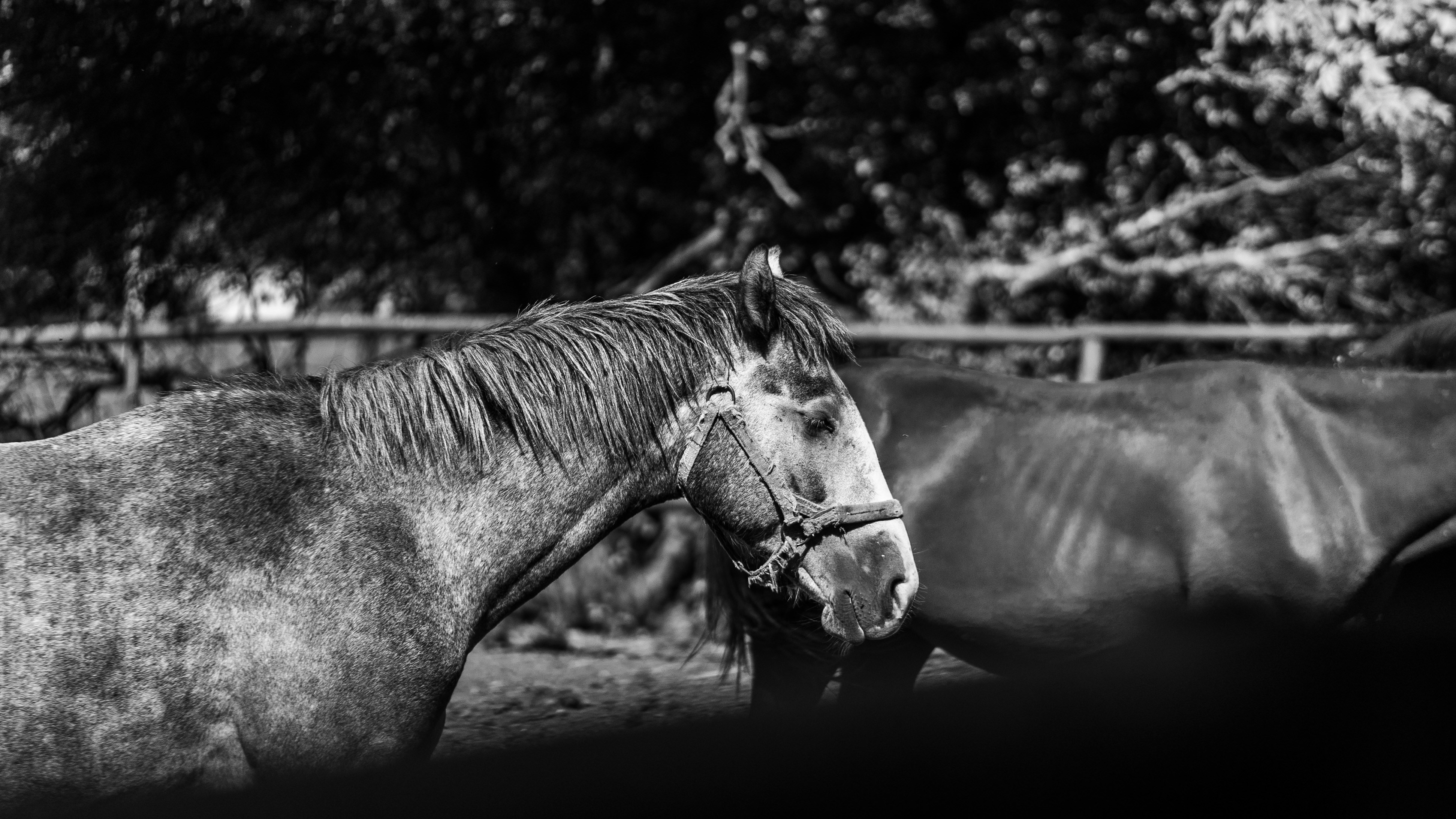 Photo by eugenechystiakov