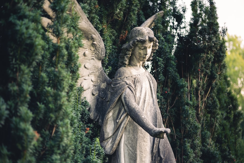 a statue of an angel surrounded by greenery