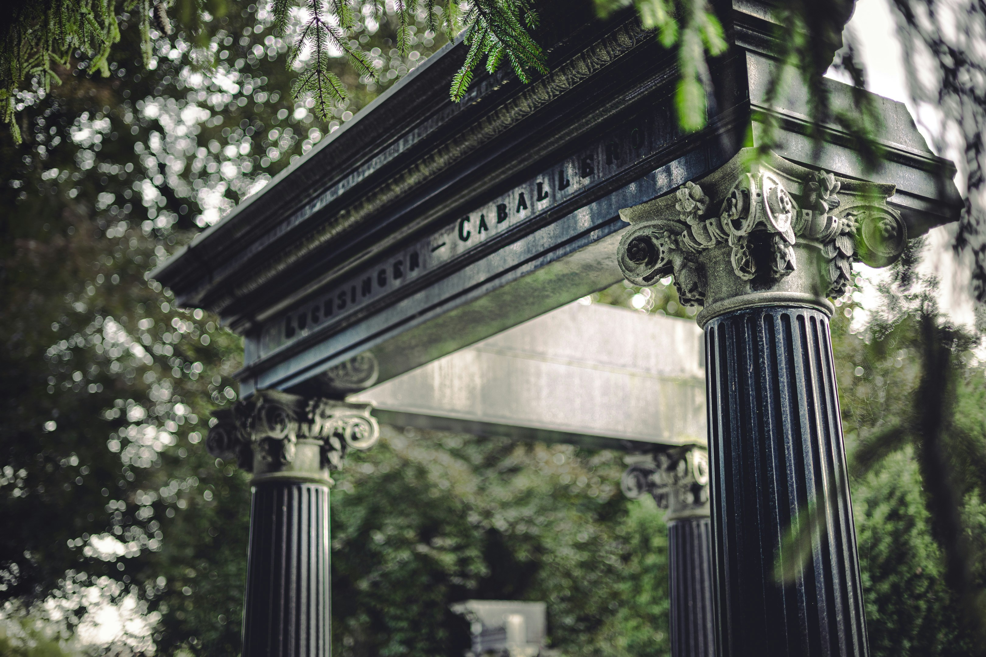 photo 1632336470626 ff64b676cab4?crop=entropy&cs=tinysrgb&fit=max&fm=jpg&ixid=M3w1MjQ0NjR8MHwxfHNlYXJjaHwxNHx8QmlvaGFja2luZyUyMFBpbGxhcnN8ZW58MHwwfHx8MTc0MjgwNDIzNXww&ixlib=rb 4.0