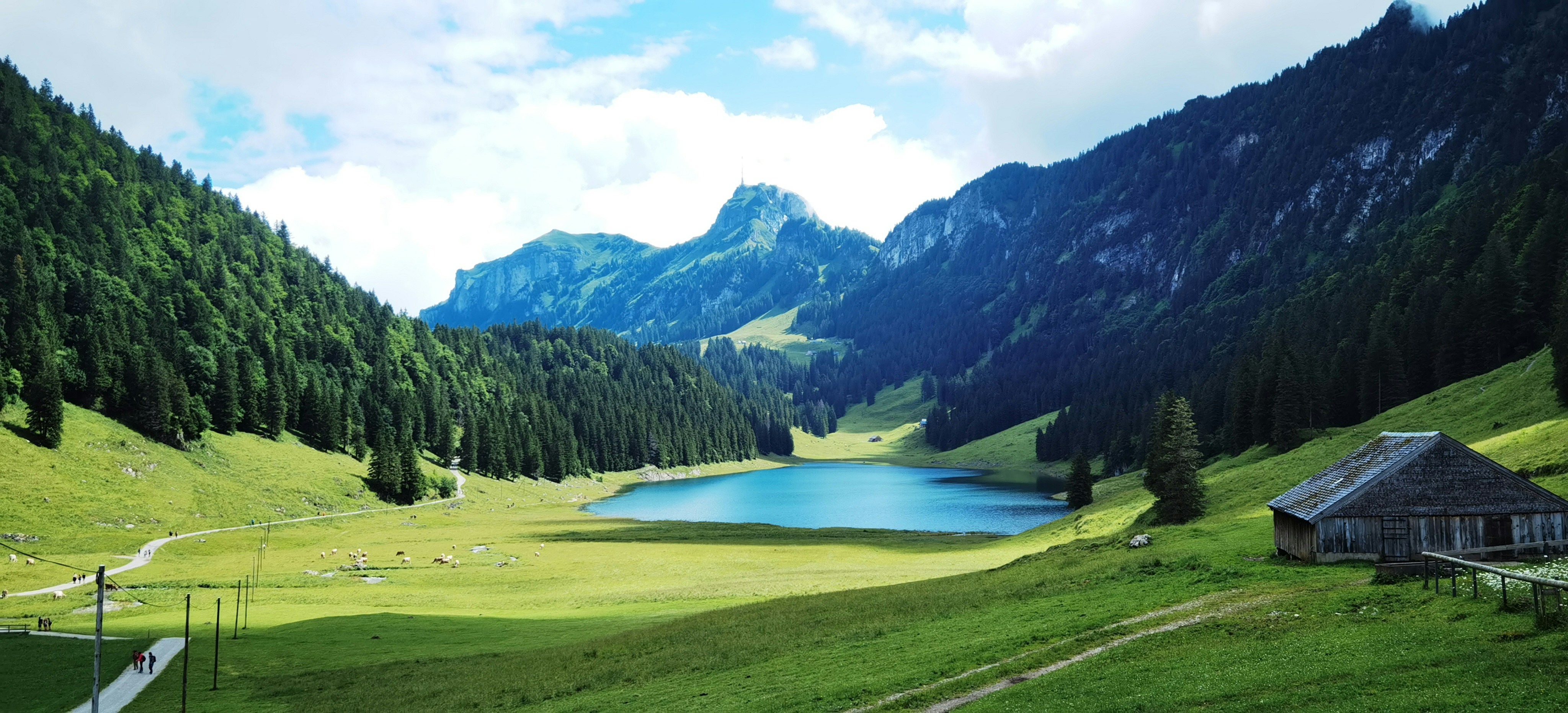 Photo by naturalmystic