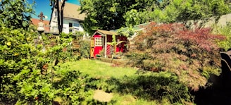 A lush garden with a variety of greenery, including a small red shed with white-framed windows. The garden features neatly trimmed grass, various bushes, and small trees. There is a decorative metal structure and a background with a white multi-story house and additional trees.
